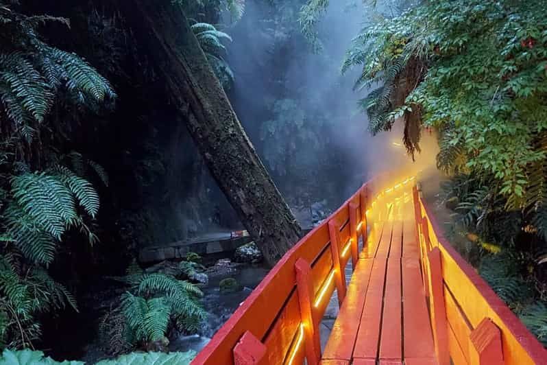 Imagen del tour: Desde Pucón: Termas Geométricas