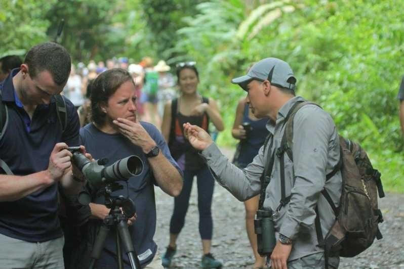 Imagen del tour: Costa Rica: Visita guiada al Parque Nacional Manuel Antonio