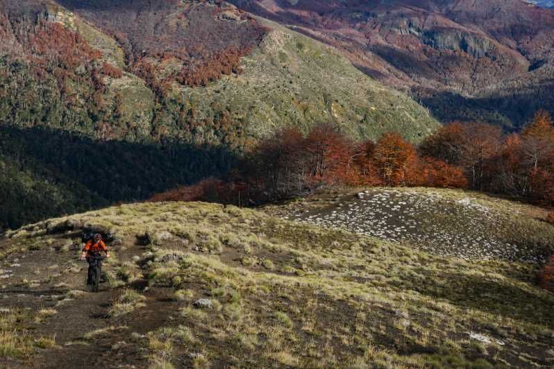 Imagen del tour: Pucón: Bicicleta de montaña por senderos volcánicos