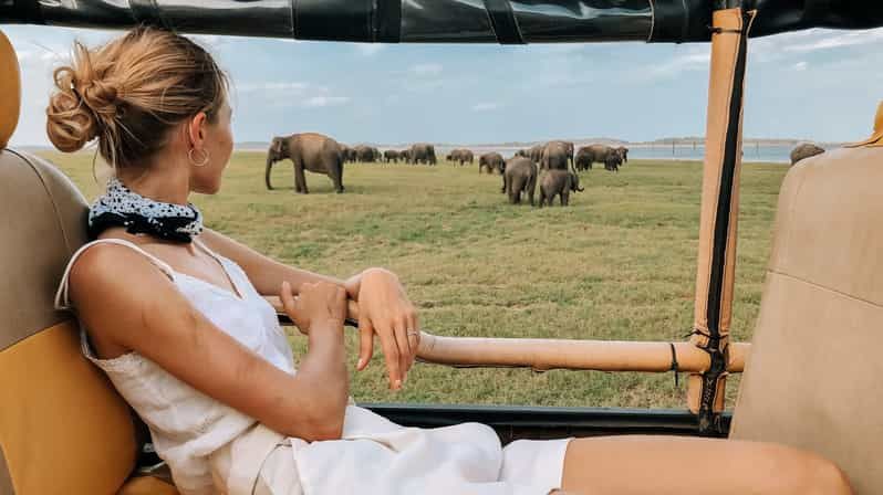 Imagen del tour: Safari en 4x4 por el Parque Nacional de Minneriya