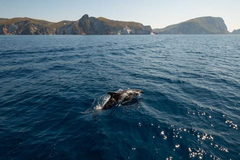 Imagen del tour: Isola di Ponza e Palmarola: giro in barca