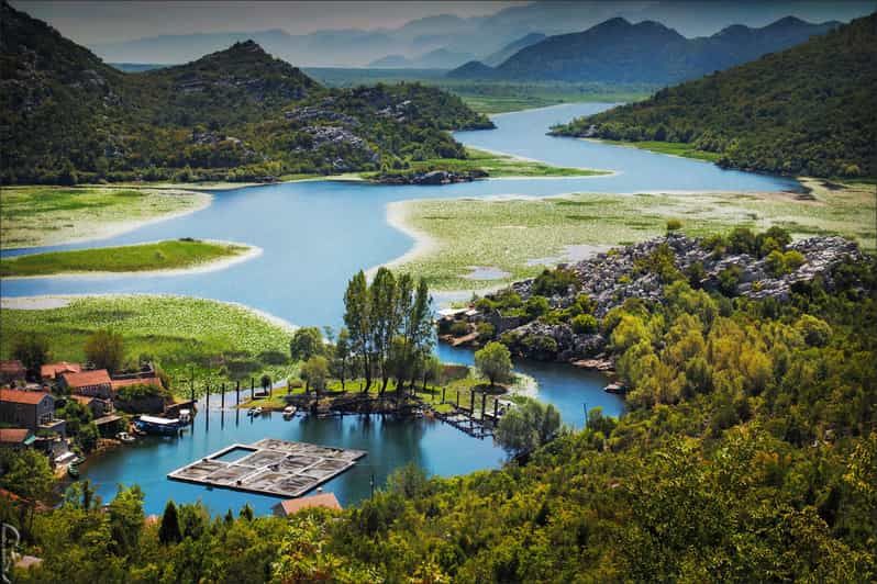 Imagen del tour: Podgorica Histórico, Safari y Visita a Bodegas - Lago Skadar