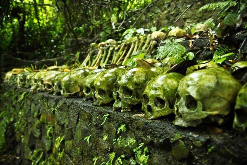 Imagen del tour: Bali: Cementerio de Trunyan, Aguas Termales y Aldea de Penglipuran
