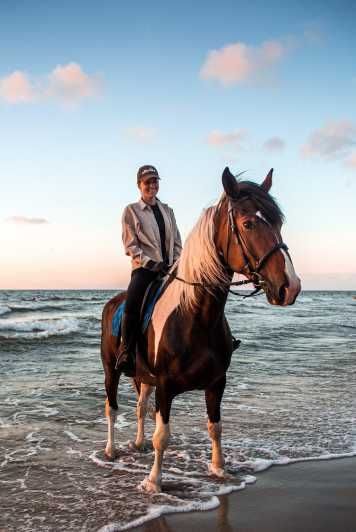 Imagen del tour: Marsa Alam: Excursión a caballo por el mar y el desierto