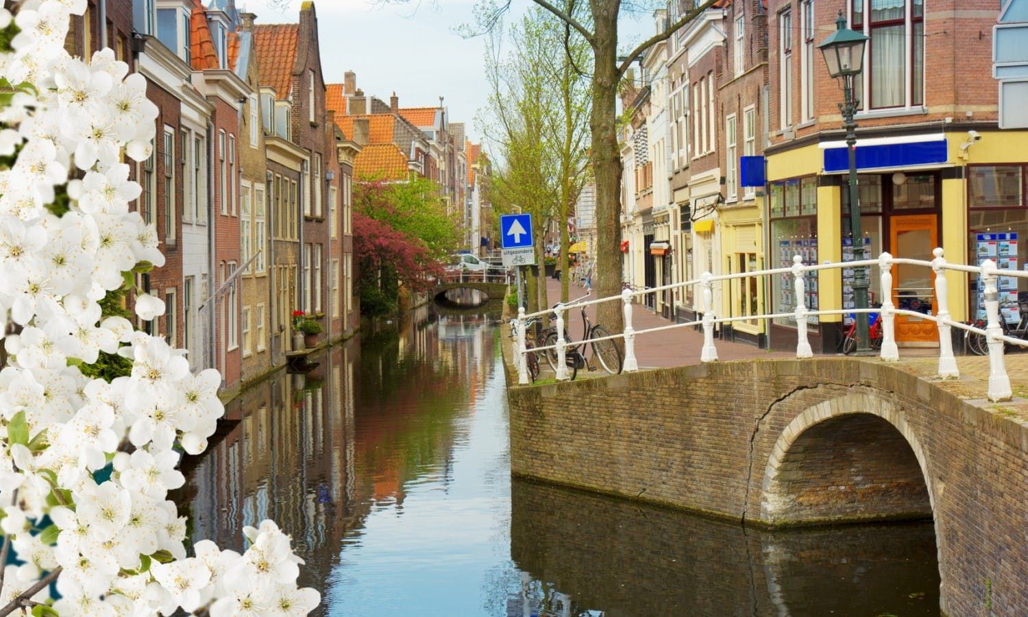 Imagen del tour: Tour privado a pie de Delft