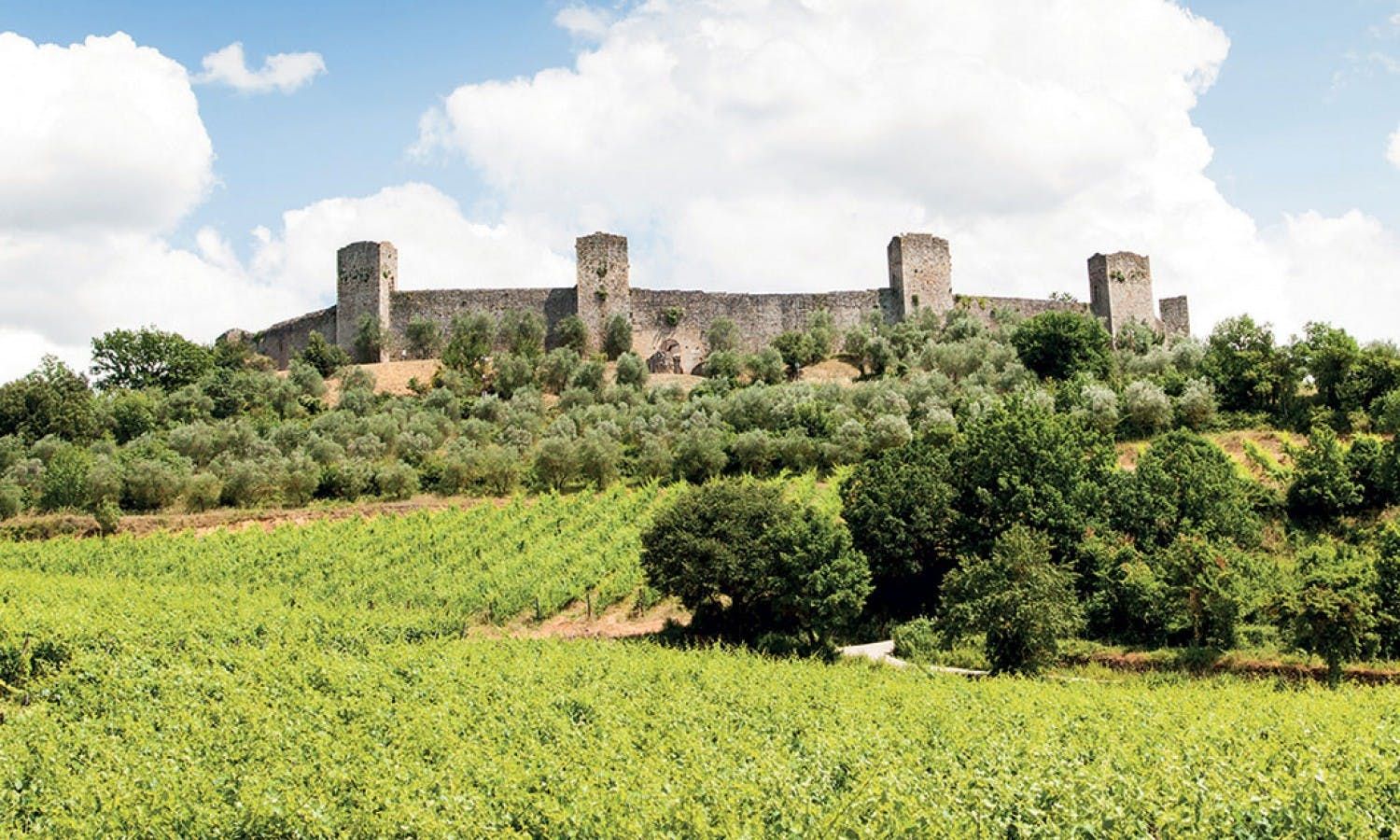 Imagen del tour: Visita a Chianti y al castillo desde San Gimignano con degustación de vinos