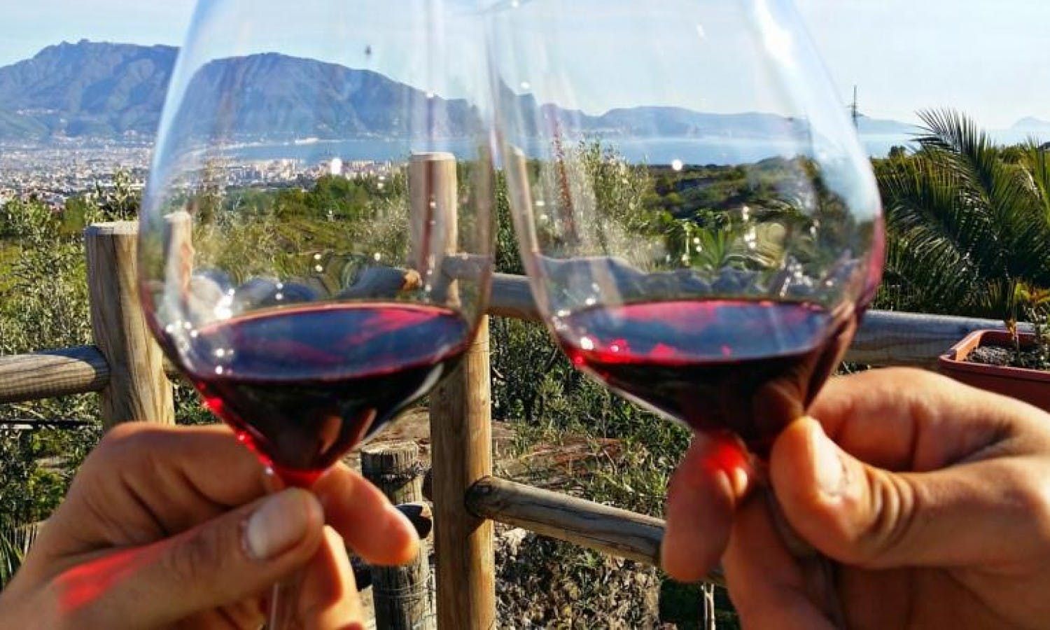 Imagen del tour: Experiencia de cata de vinos en el Monte Vesubio con almuerzo.