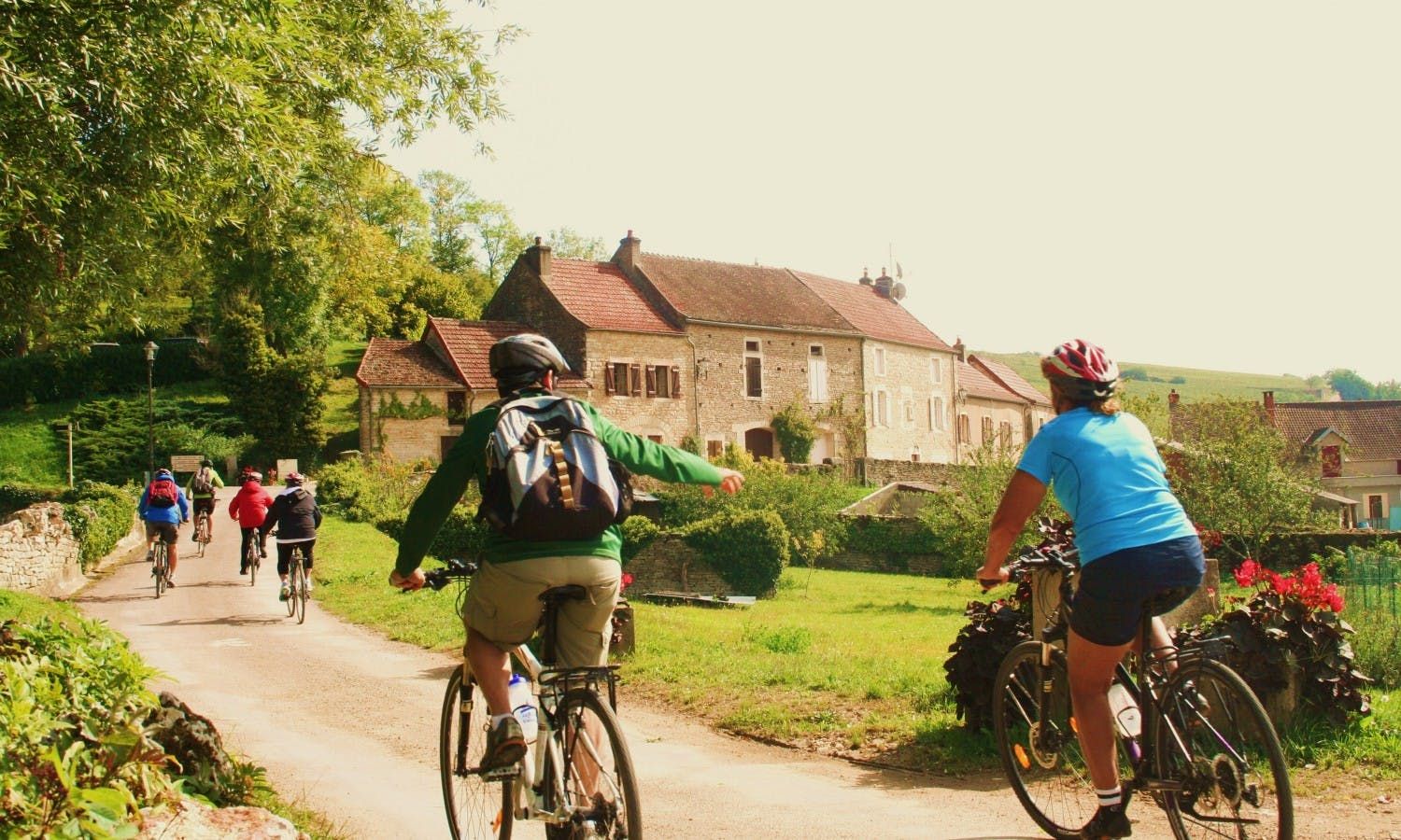 Imagen del tour: Tour en bicicleta y vino en Borgoña