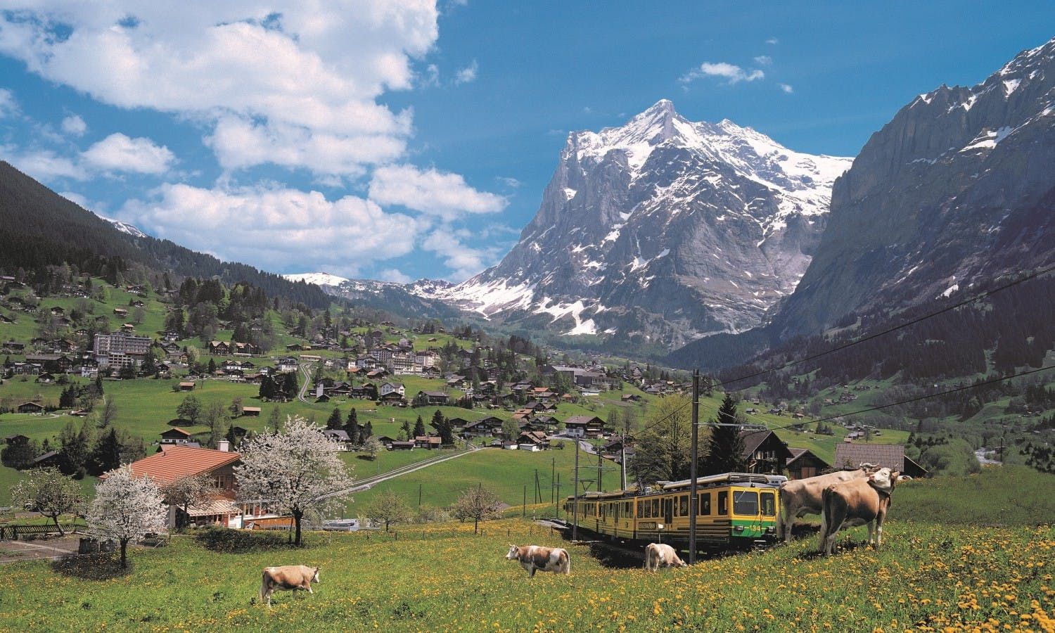 Imagen del tour: Excursión de 1 día a Interlaken y Grindelwald