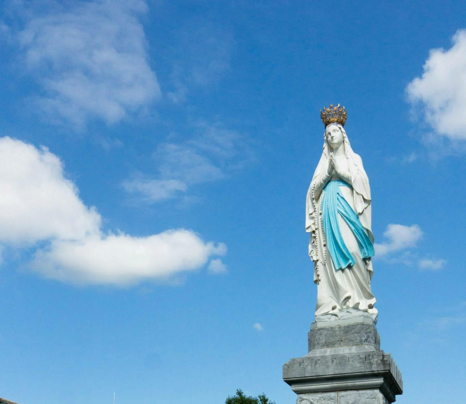 Imagen del tour: Visita religiosa a Lourdes
