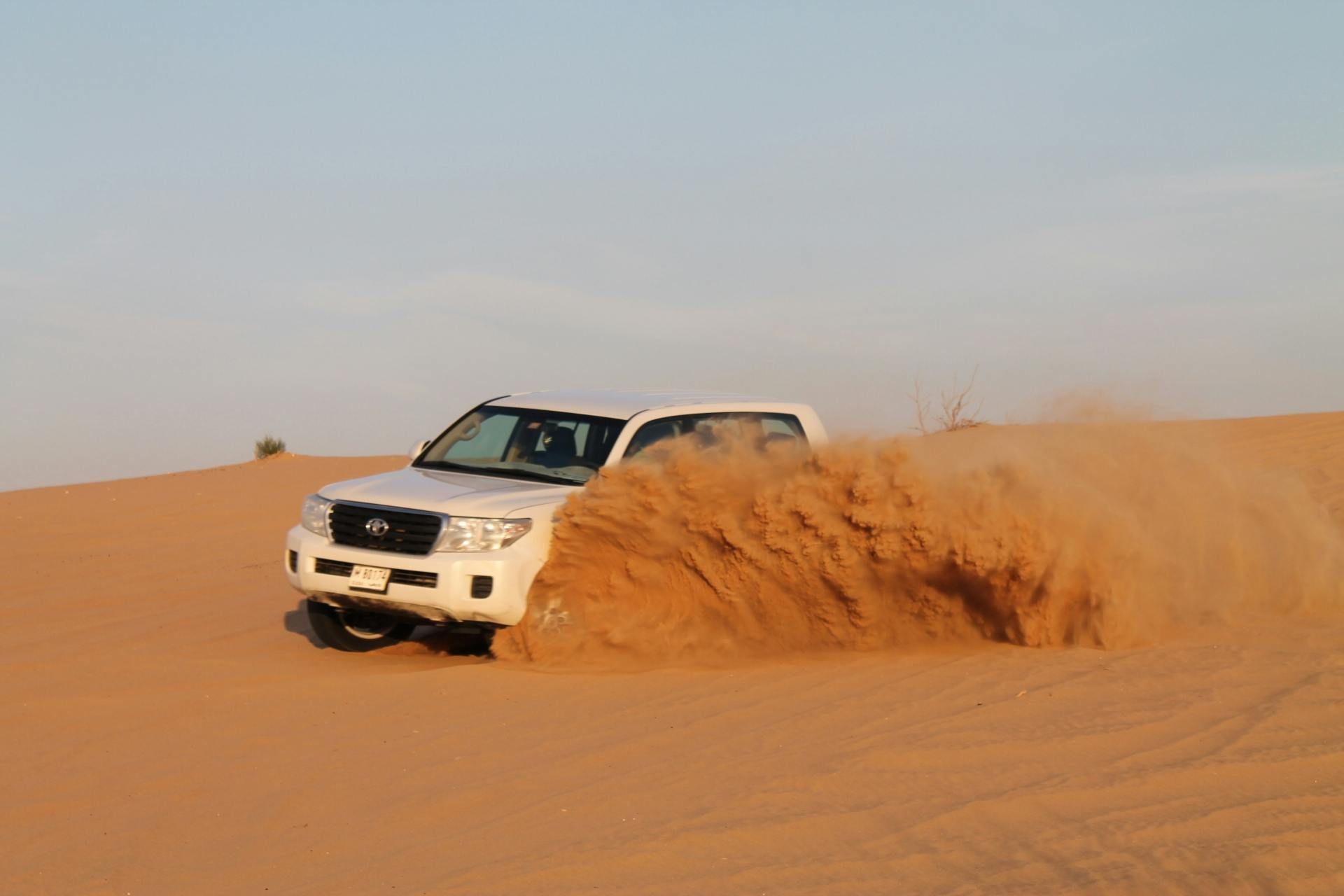 Imagen del tour: Safari en el desierto de Dubái