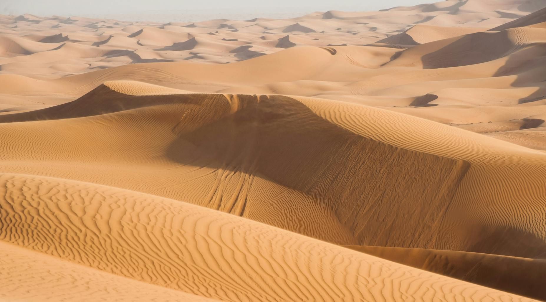 Imagen del tour: Excursión matinal por el desierto de Dubái