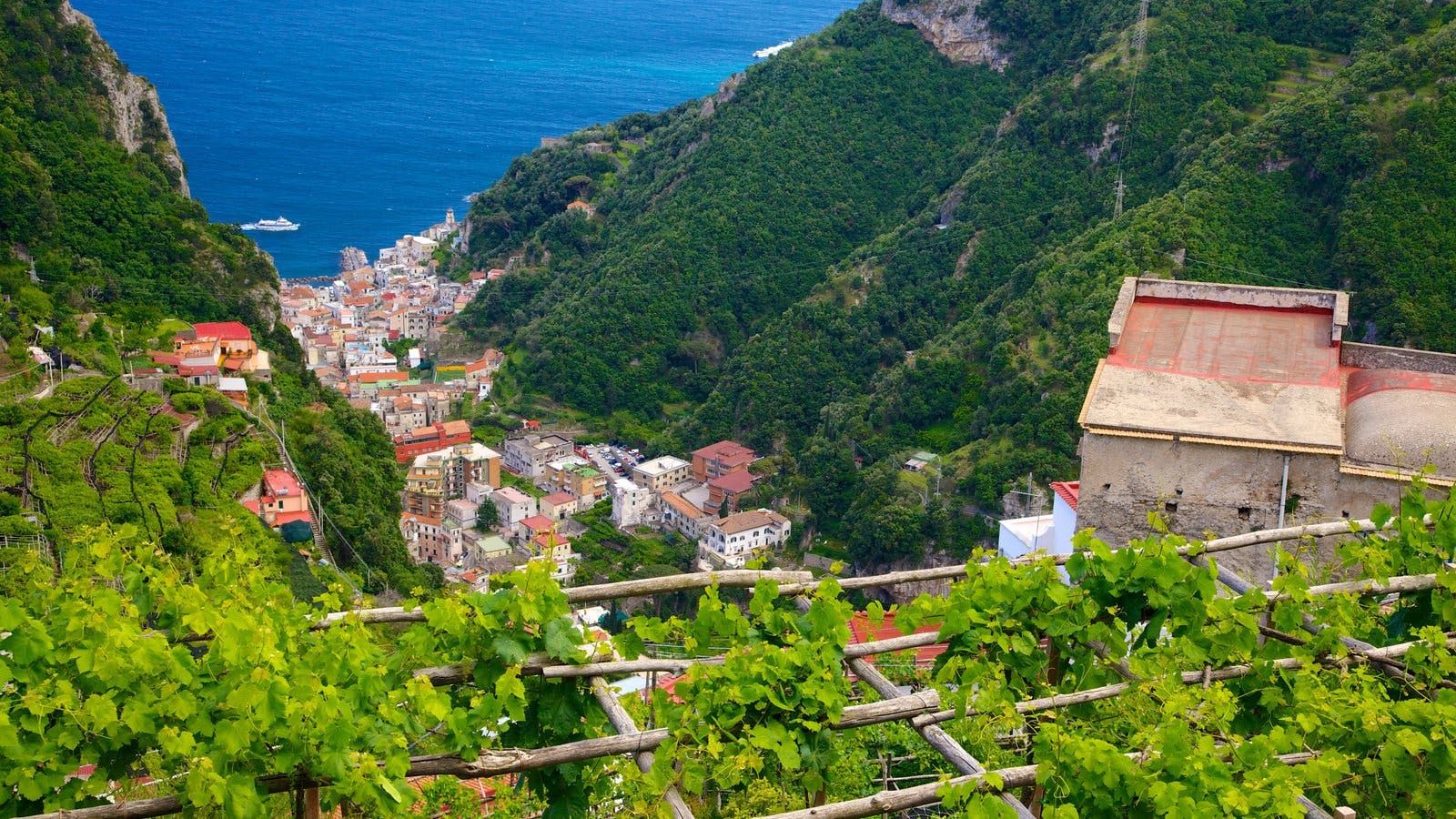 Imagen del tour: Tour por la Costa Amalfitana con almuerzo de la granja a la mesa