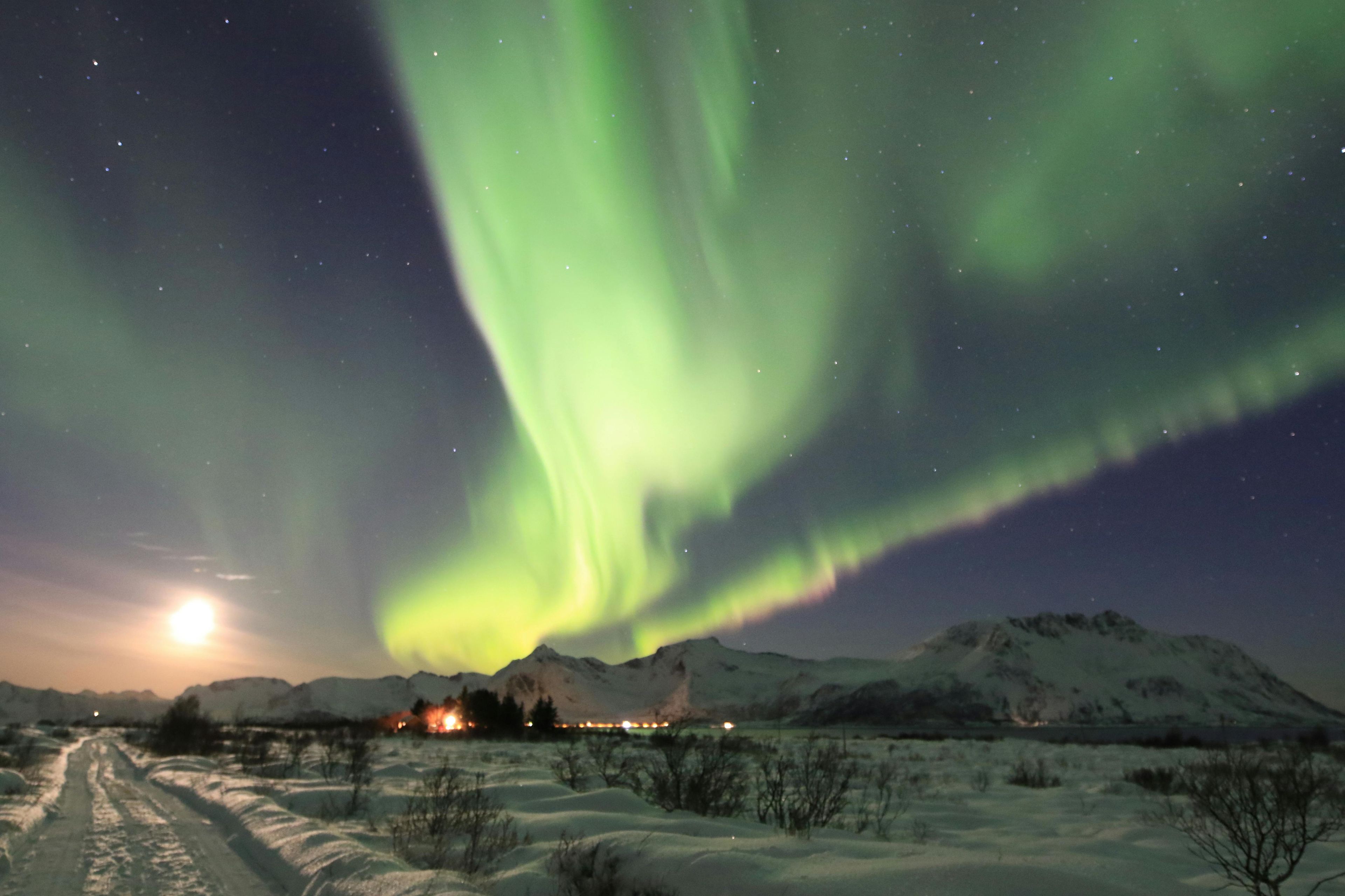 Imagen del tour: Excursión con raquetas de nieve con la aurora boreal