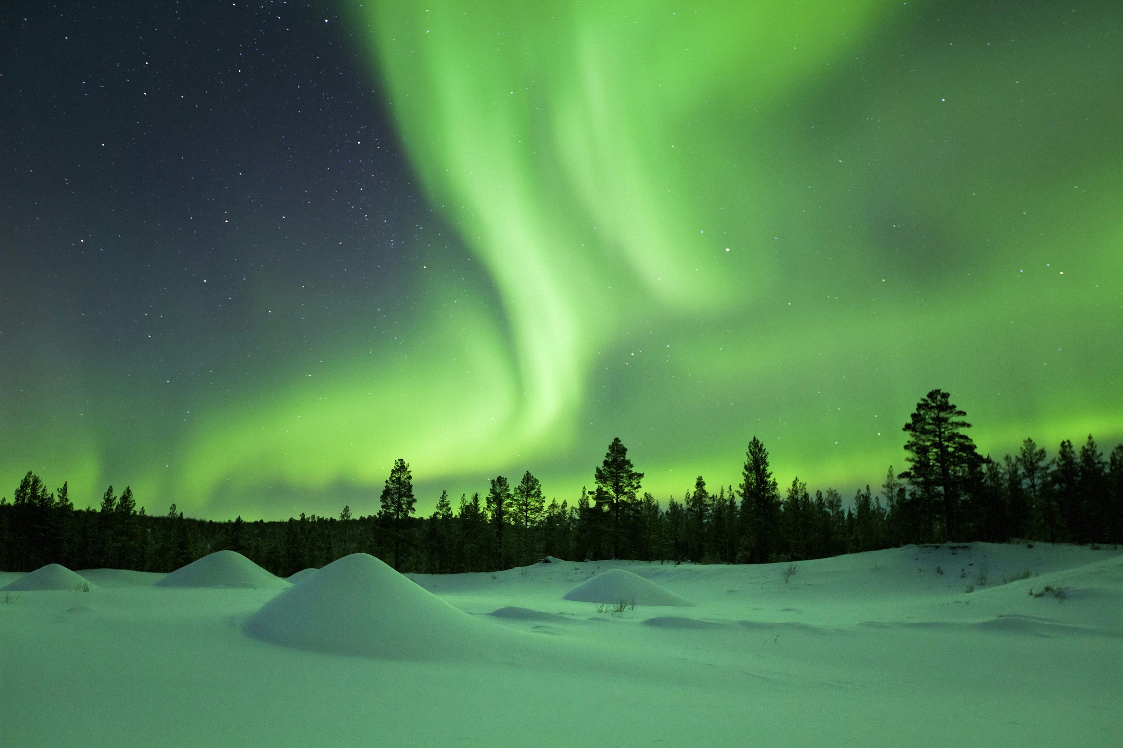 Imagen del tour: Noche de renos y auroras boreales