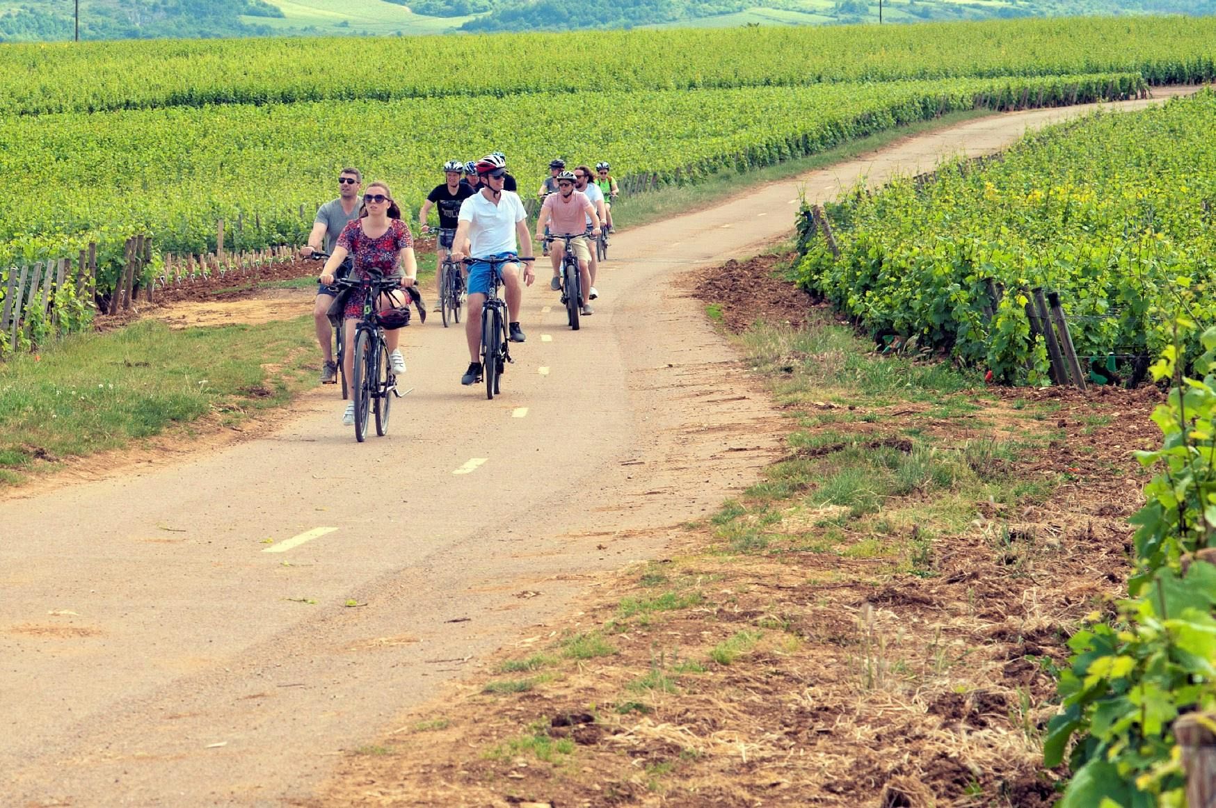 Imagen del tour: Tour guiado de 1 semana en la región vinícola de Borgoña