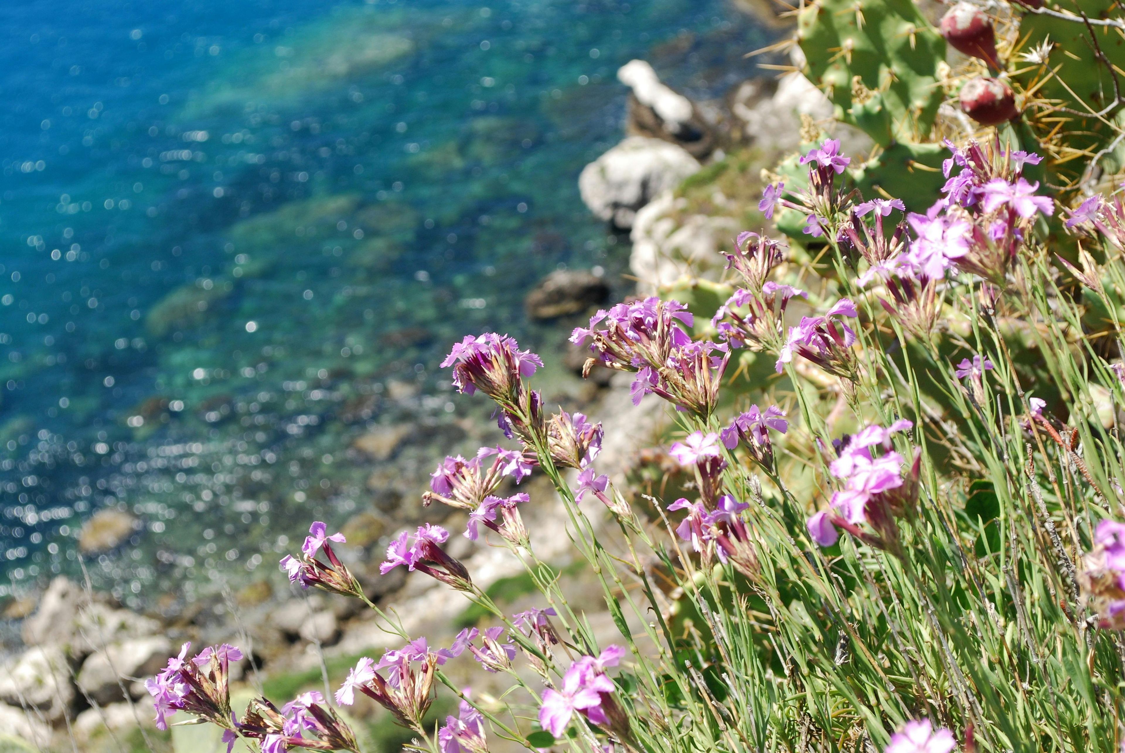Imagen del tour: Visita a la bodega y playa de Messina