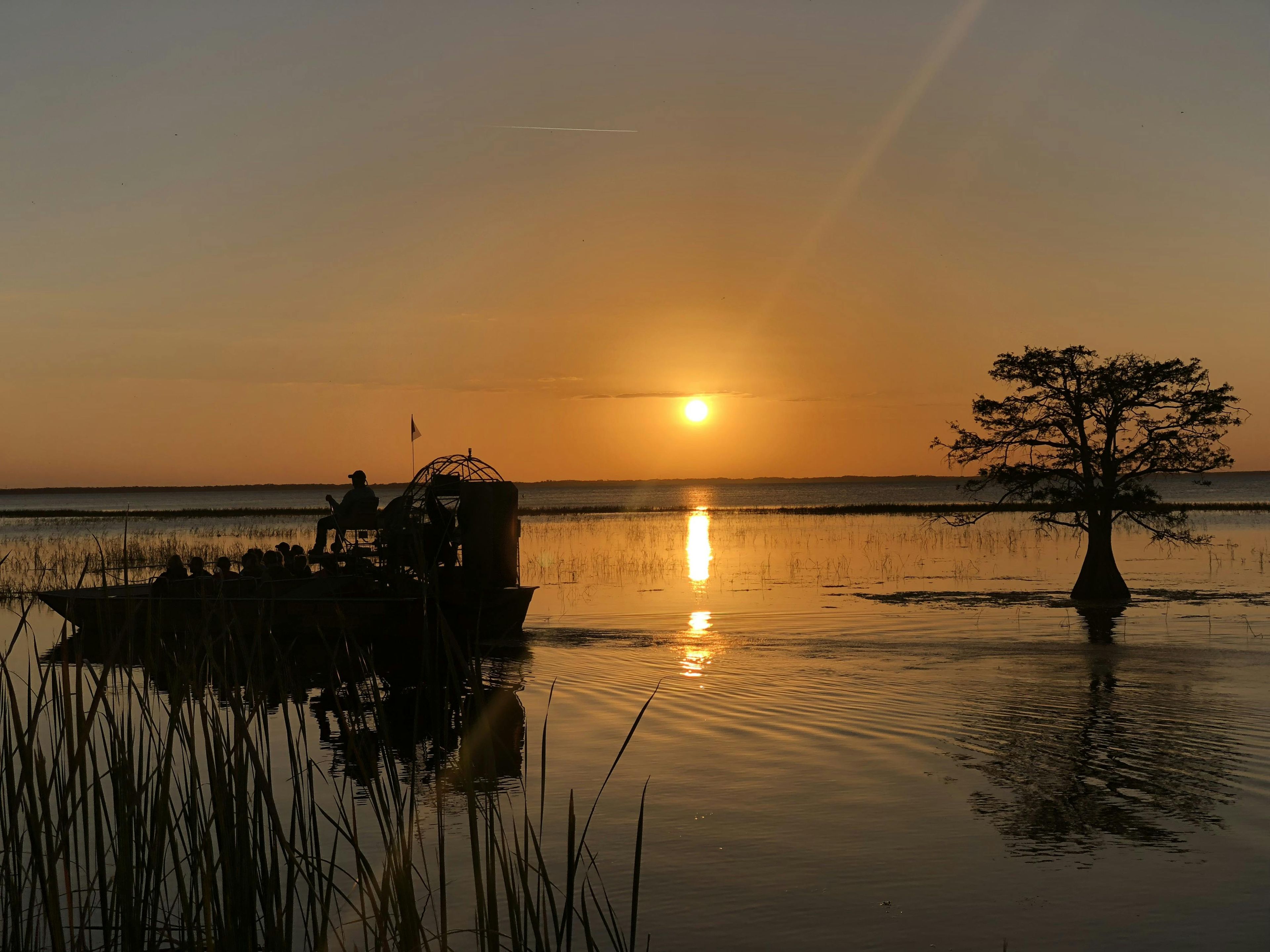 Imagen del tour: Atardecer en el aerobote de Florida Central Everglades con admisión al parque