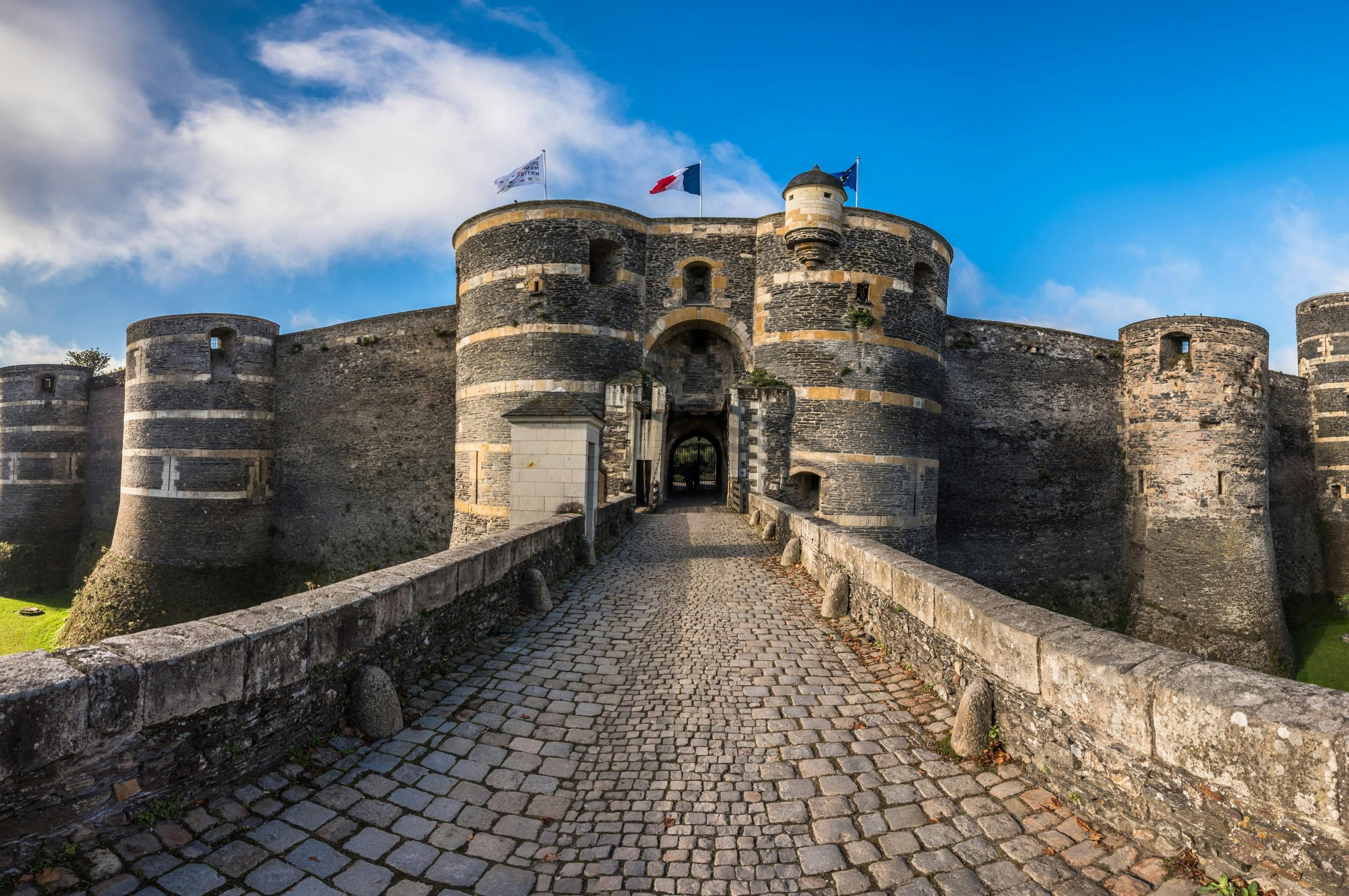 Imagen del tour: Entradas para el castillo de Angers