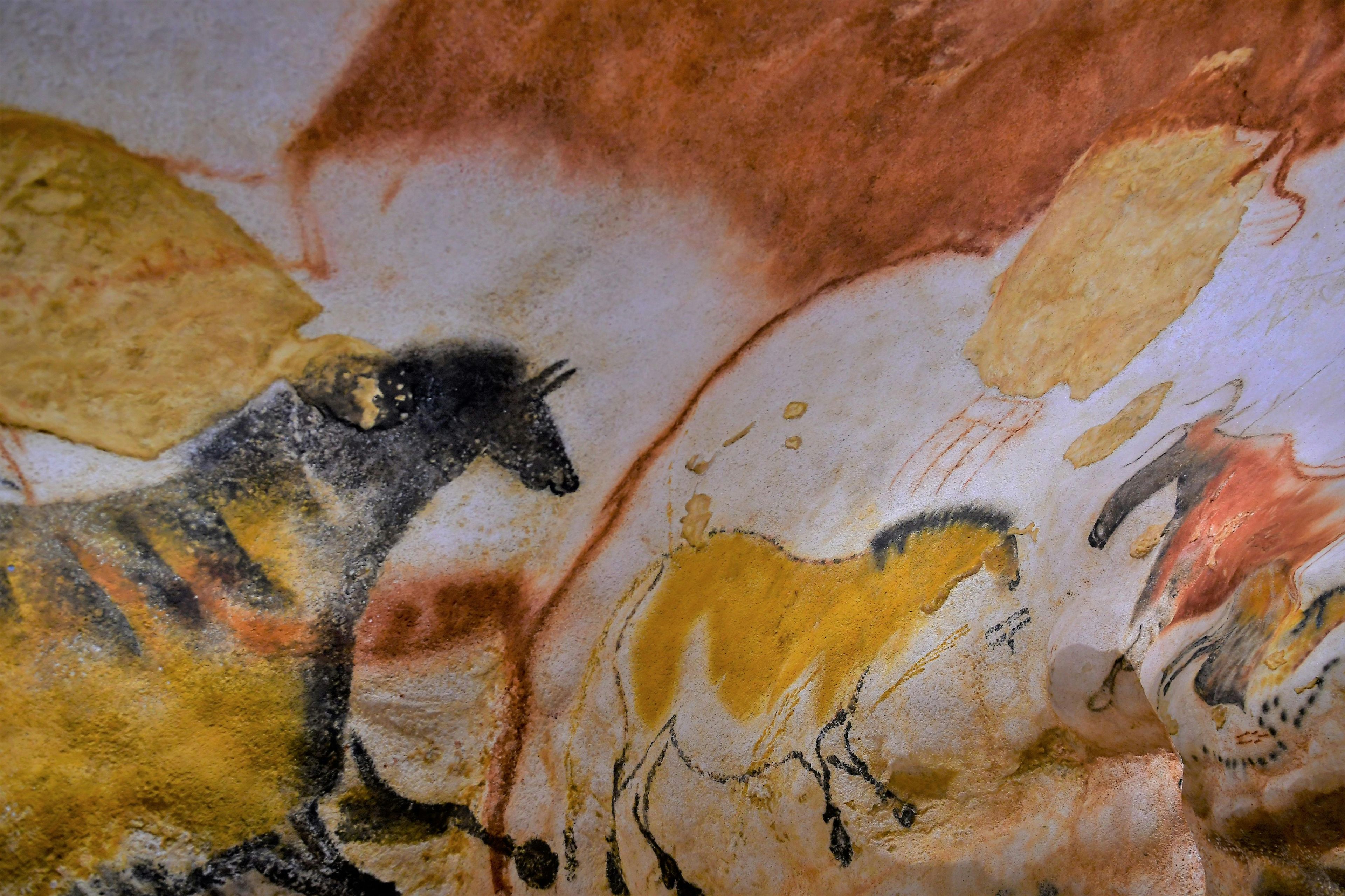 Imagen del tour: Recorrido diario del arte paleolítico de Dordoña.
