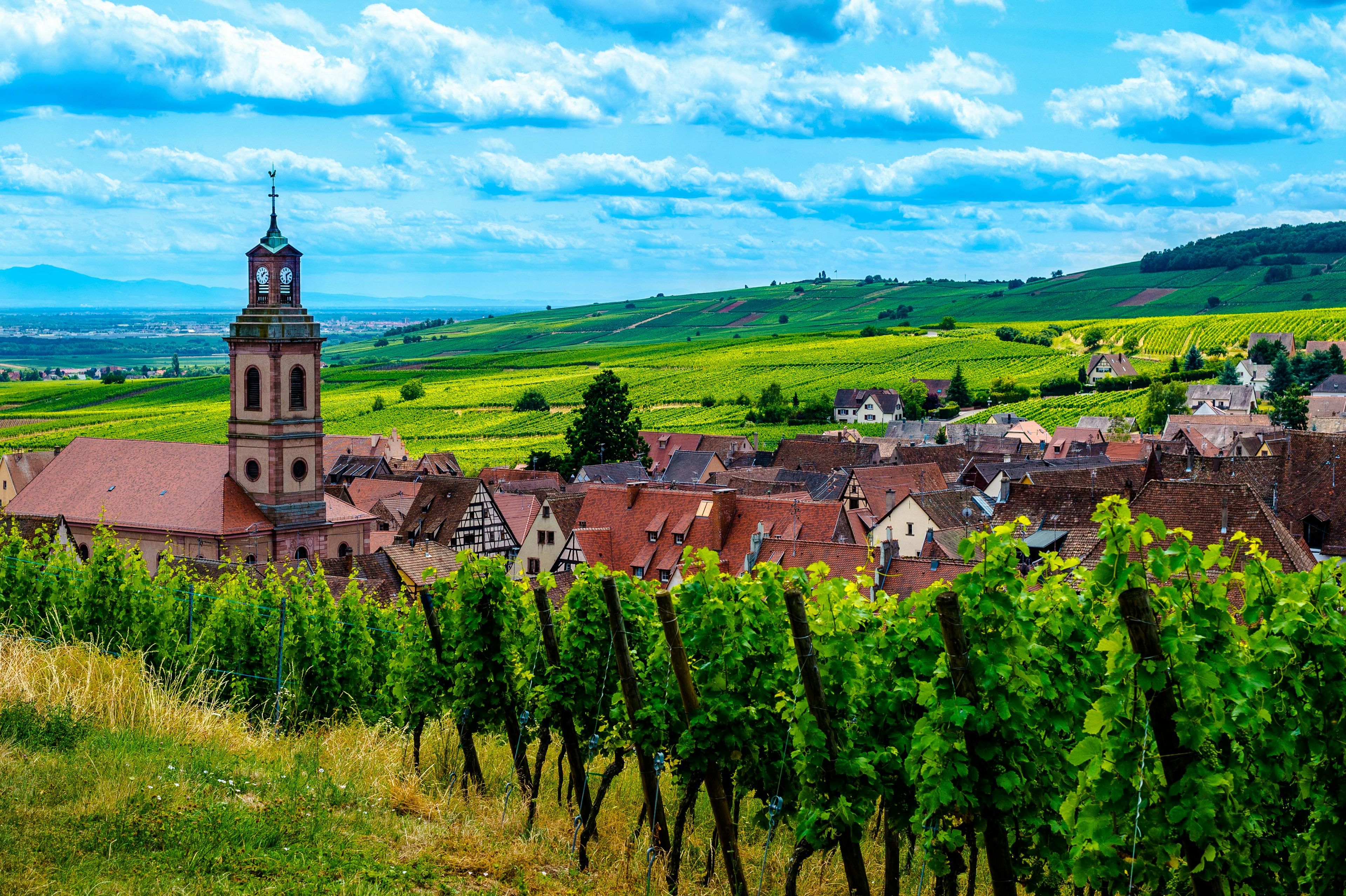 Imagen del tour: Excursión de medio día a los pueblos de Alsacia desde Colmar