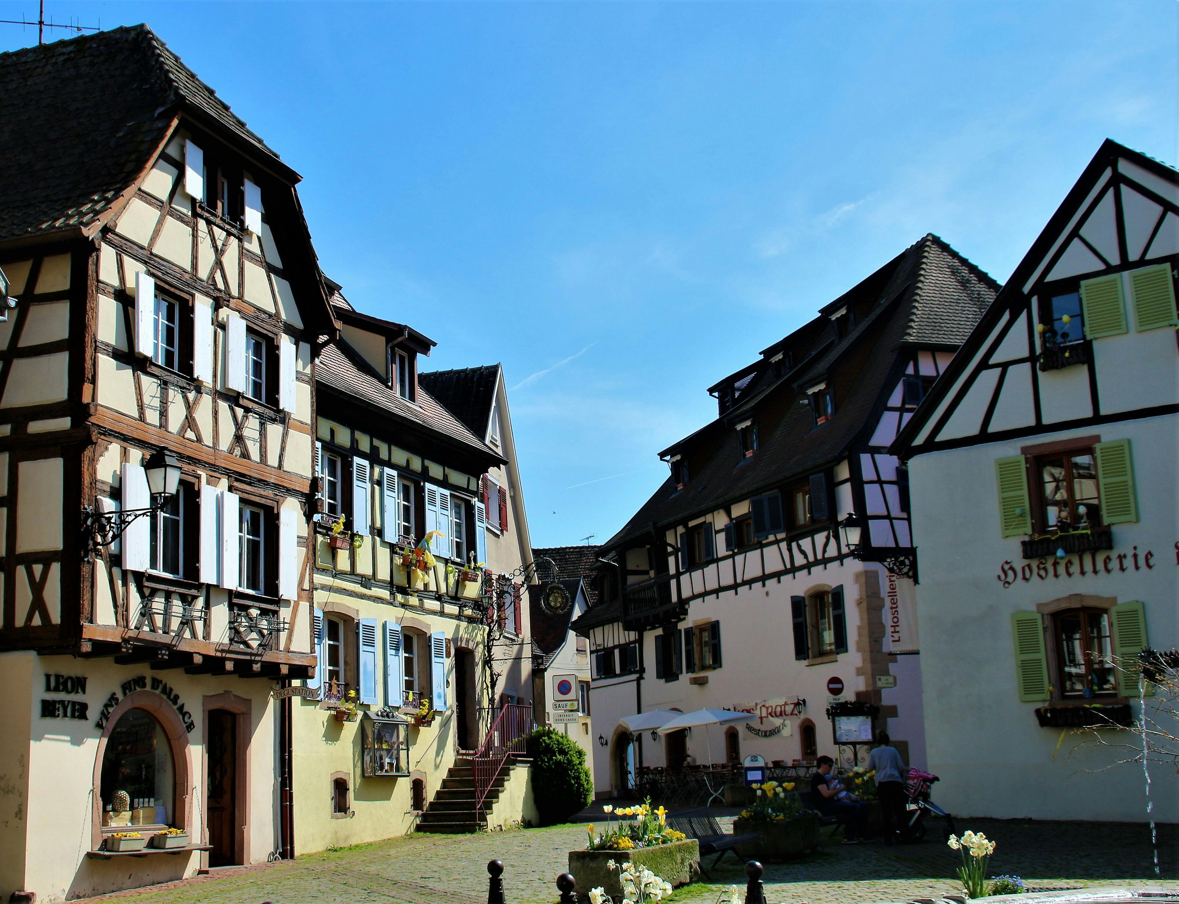 Imagen del tour: Tour de medio día por la mañana por los pueblos de Alsacia y la ruta del vino