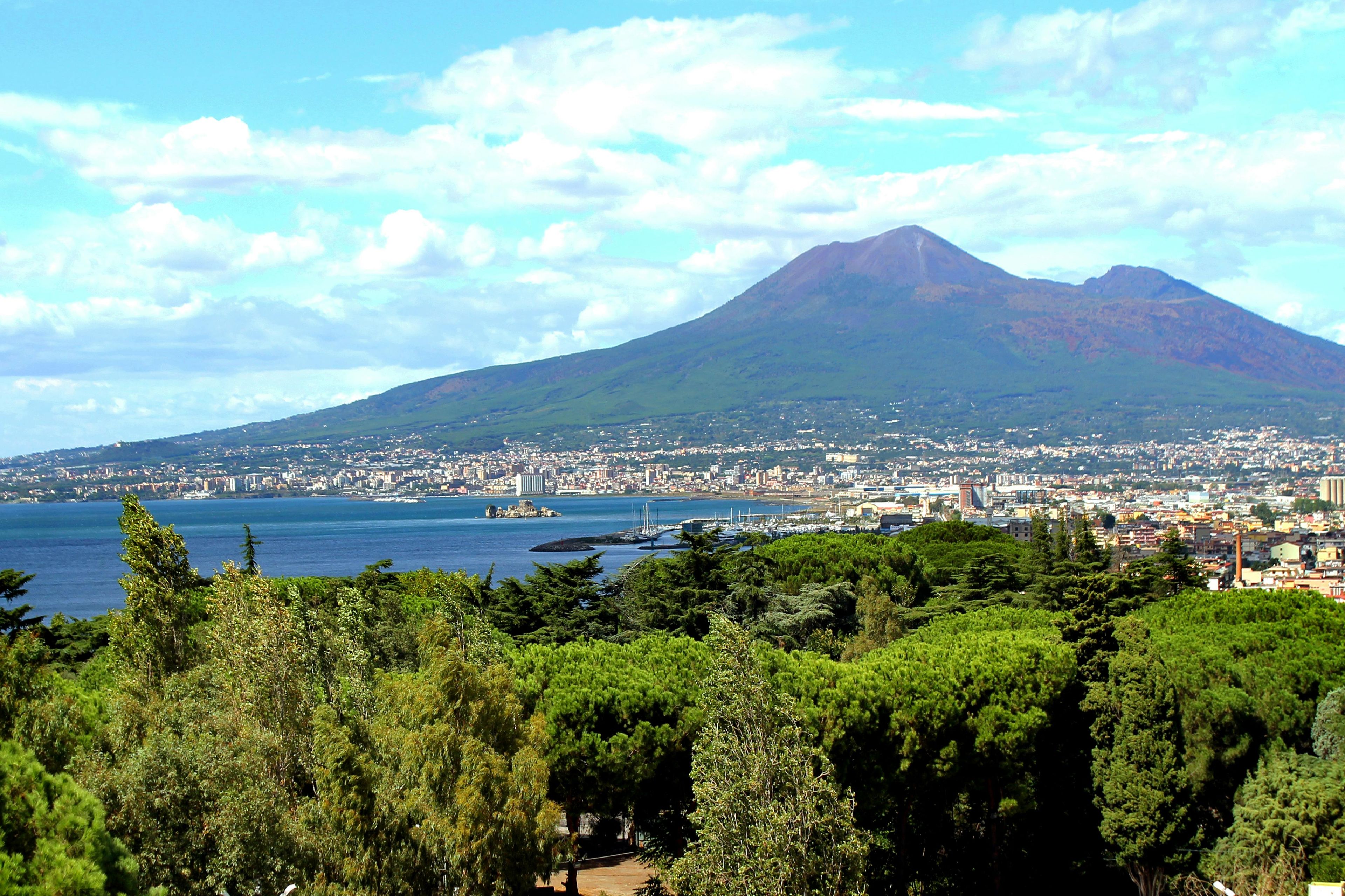 Imagen del tour: Tour a Pompeya y el Vesubio desde Nápoles