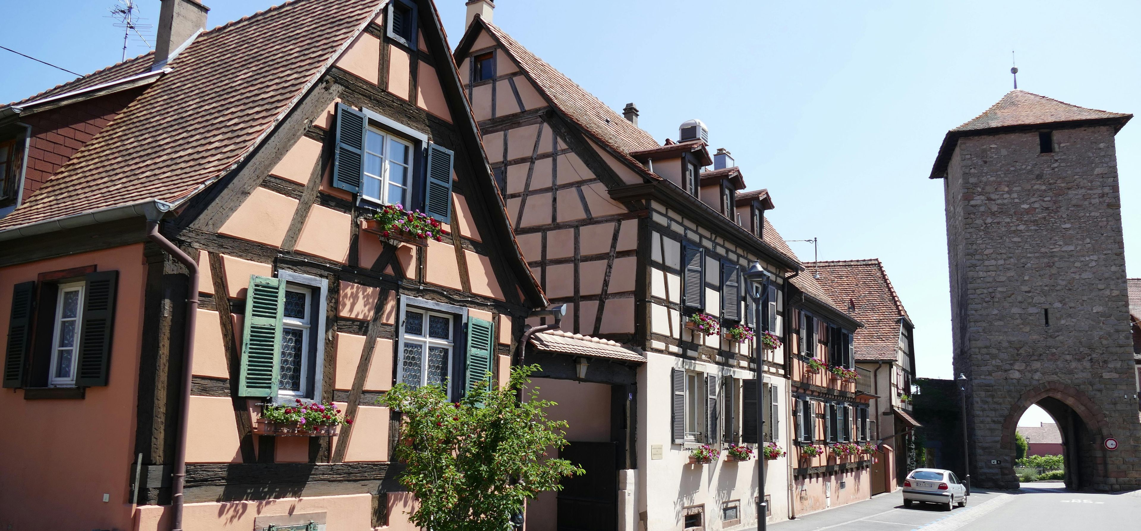 Imagen del tour: Descubrimiento del corazón de Alsacia desde Estrasburgo