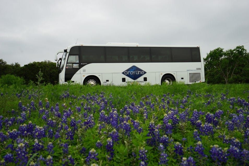 Imagen del tour: Texas Hill Country y LBJ Ranch Tour desde San Antonio