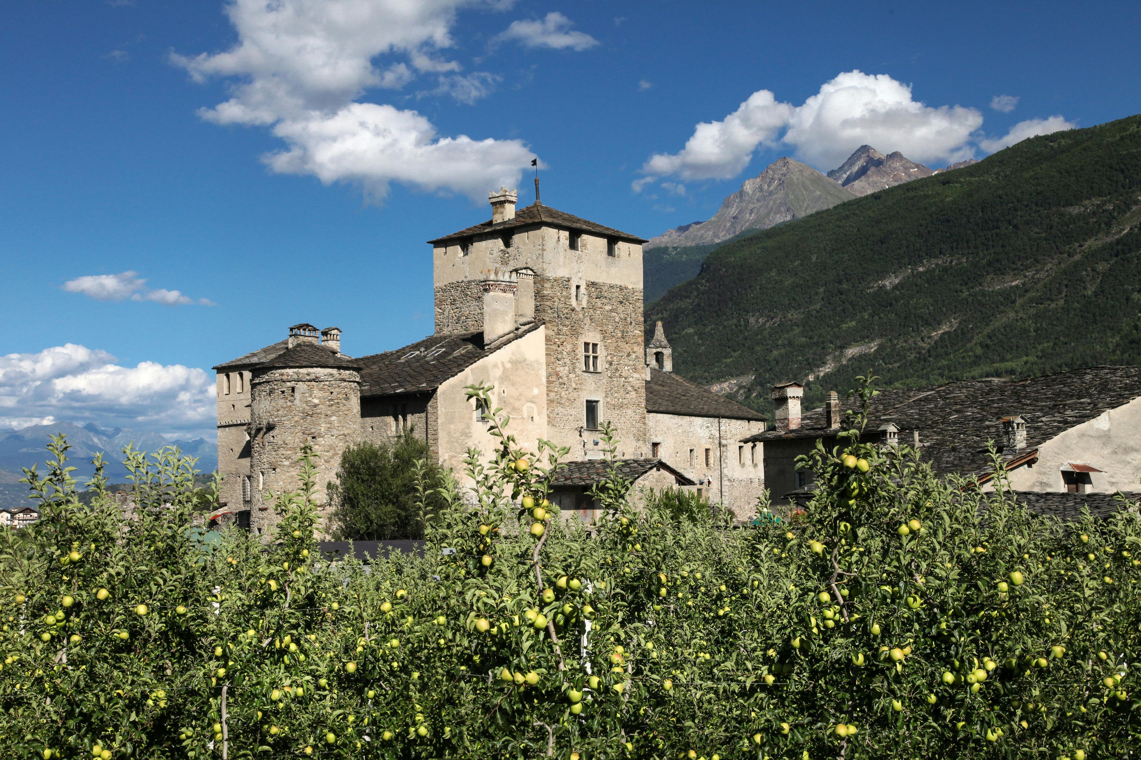 Imagen del tour: Excursión de día completo a los castillos desde Aosta