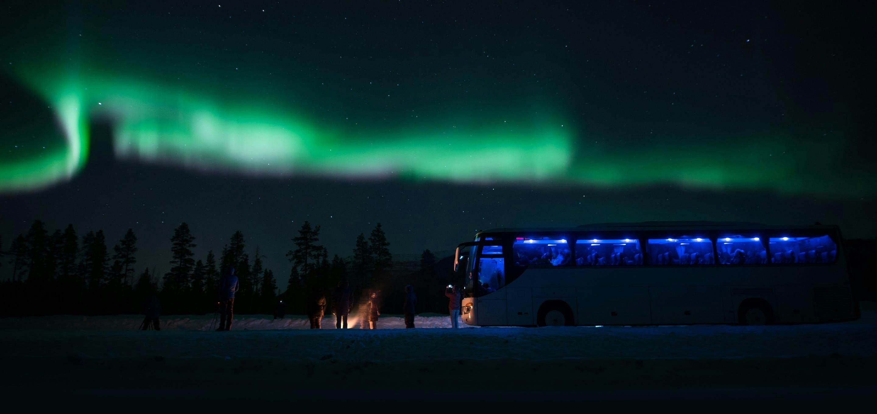 Imagen del tour: Gran persecución en autobús por la aurora boreal desde Tromsø