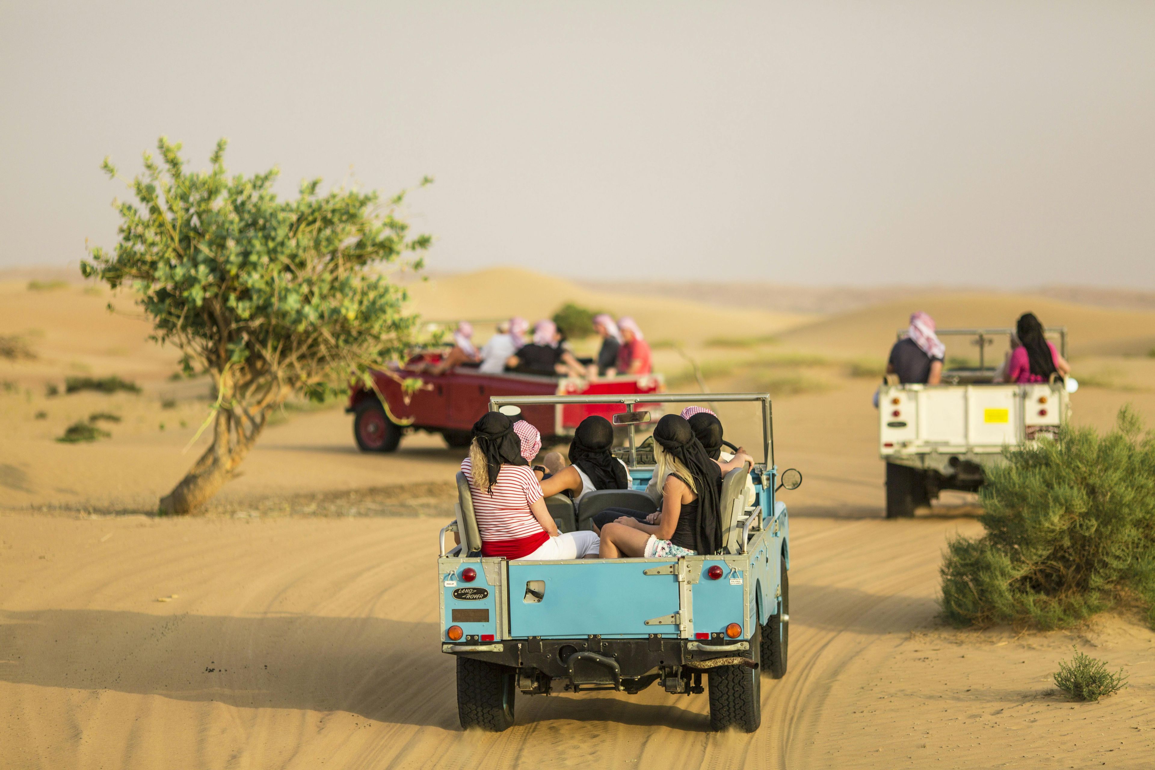 Imagen del tour: Safari tradicional por el desierto desde Dubái