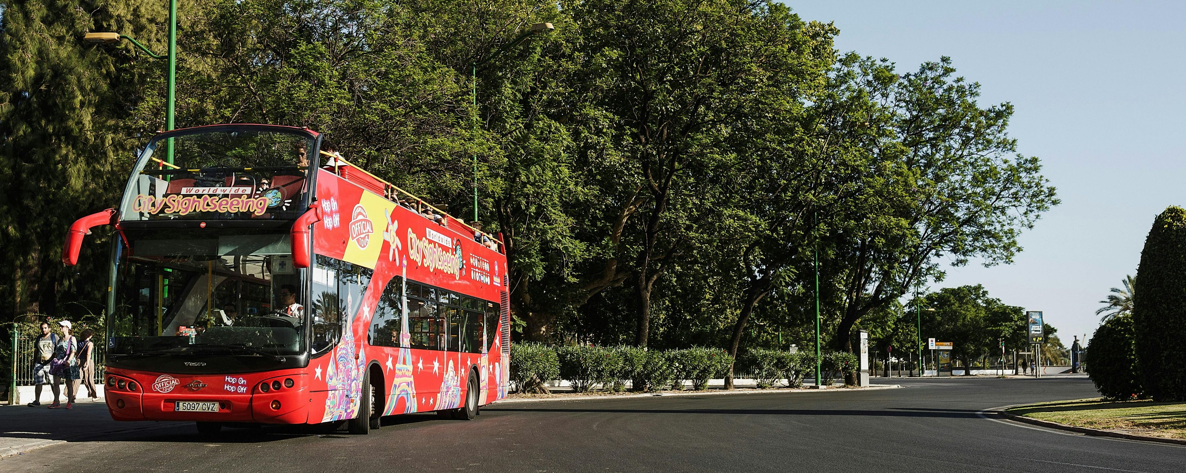 Imagen del tour: Recorrido en bus turístico de City Sightseeing por Benalmádena