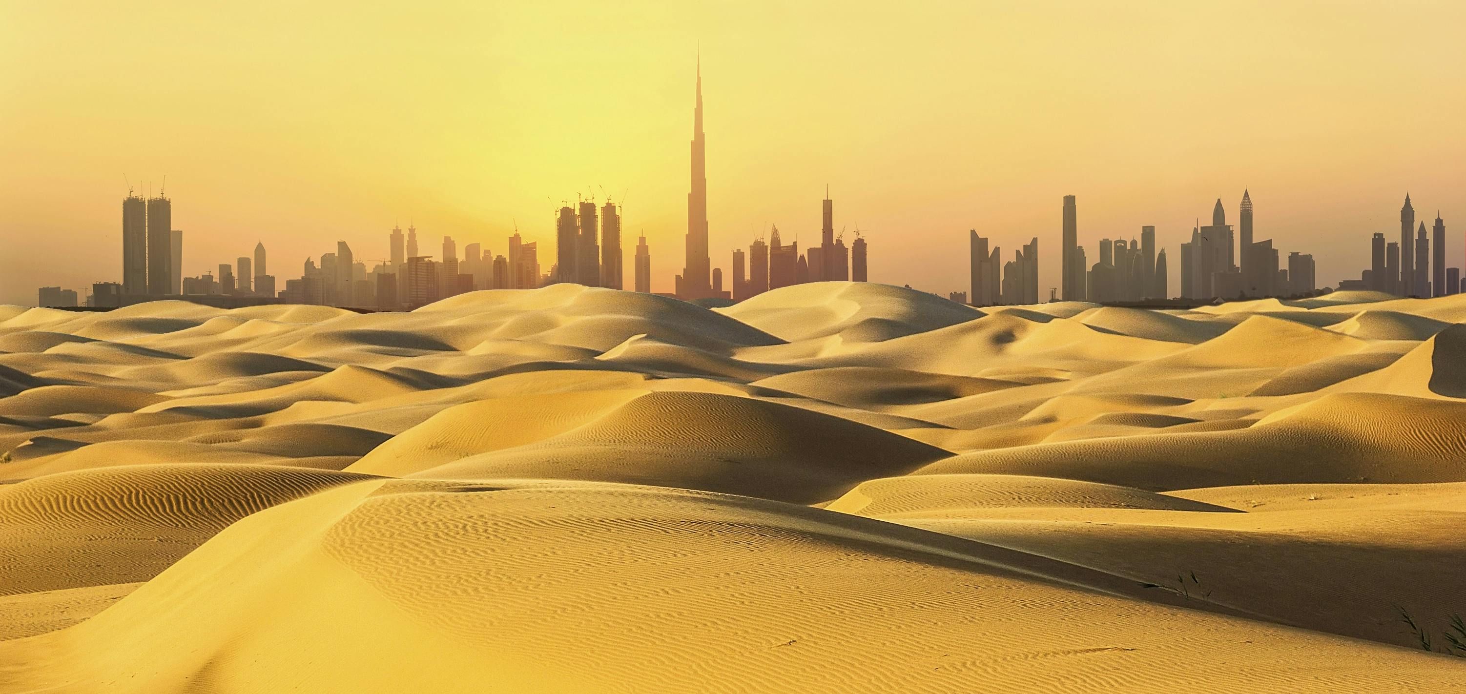 Imagen del tour: Excursión nocturna por el desierto desde Dubái