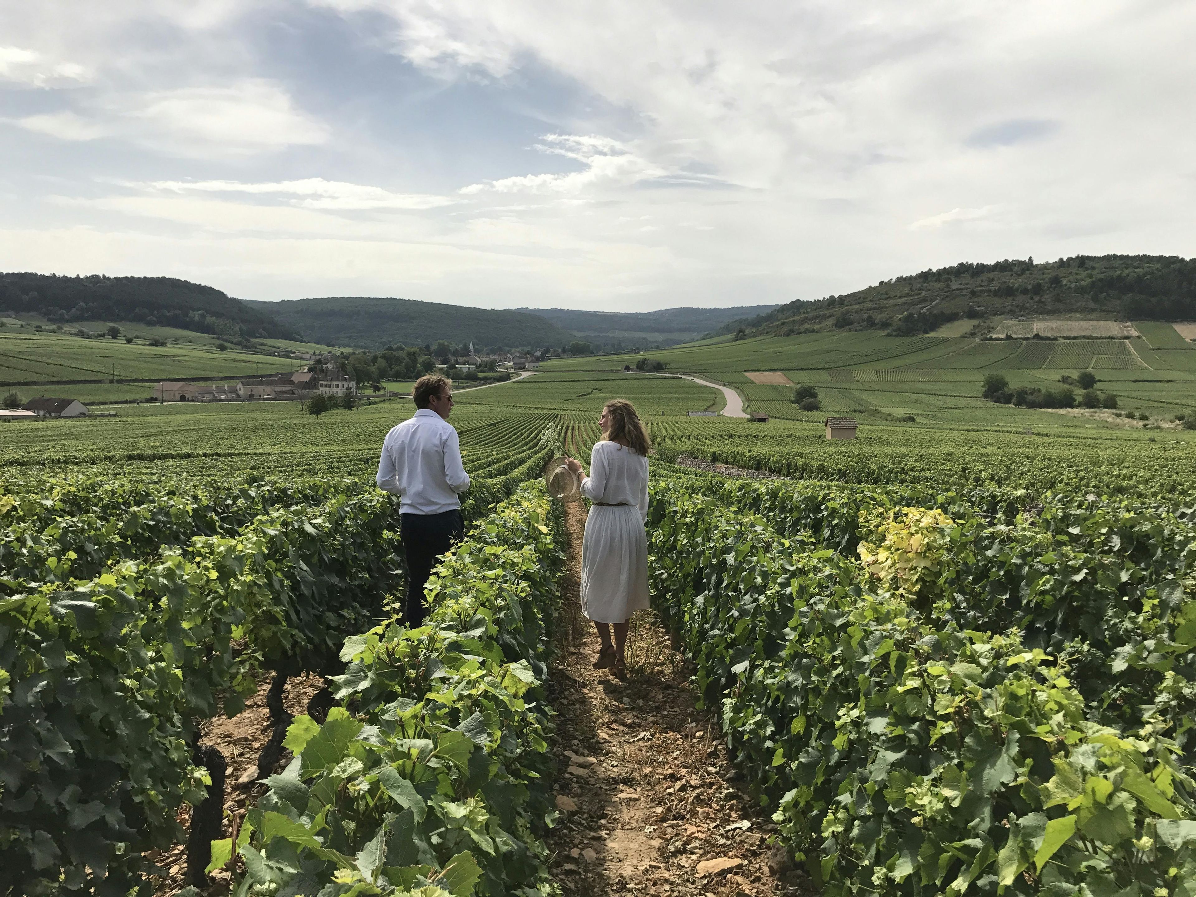Imagen del tour: Excursión de un día a Borgoña desde Beaune que incluye almuerzo y catas de vino