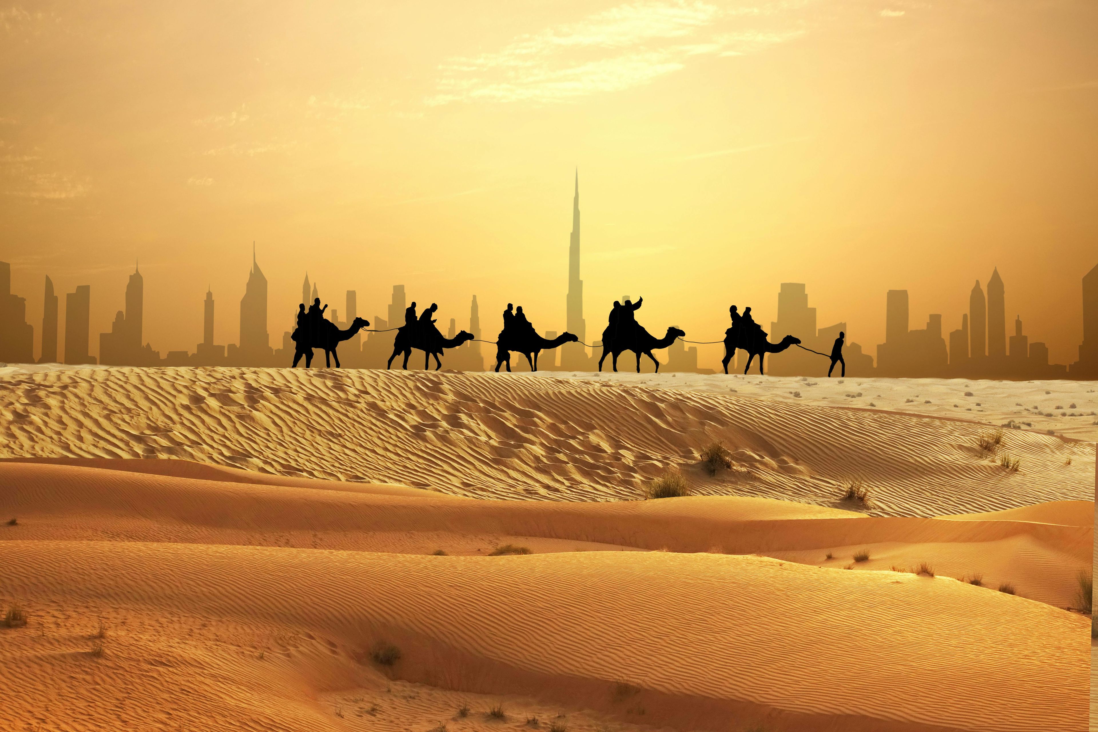 Imagen del tour: Excursión de día completo en grupo pequeño a Dubái y safari nocturno por el desierto