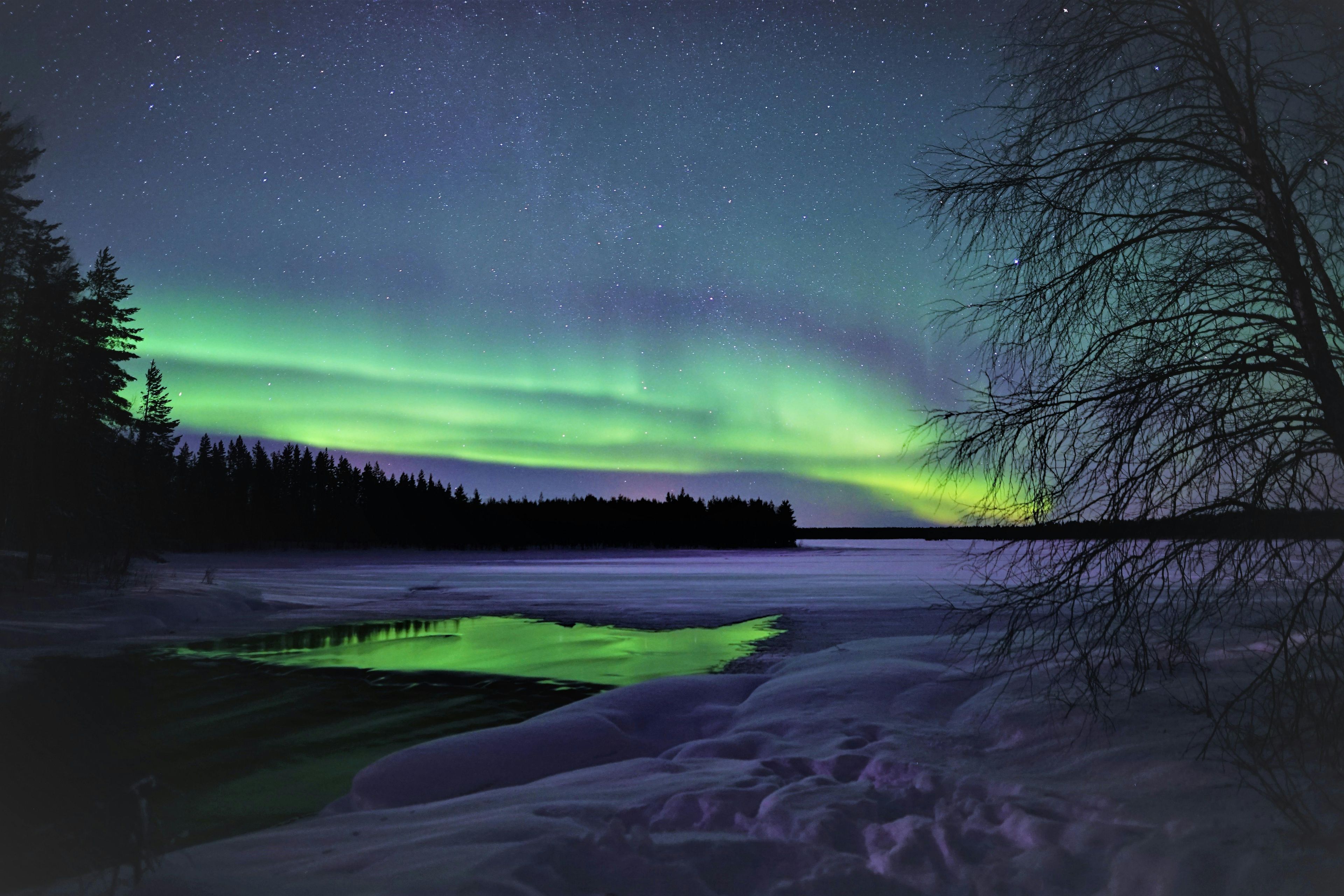 Imagen del tour: Tour privado de la aurora boreal con cámara profesional