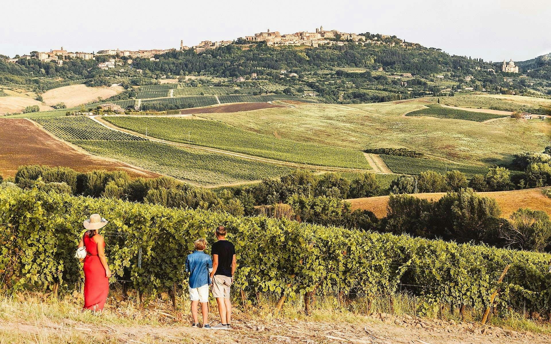 Imagen del tour: Ruta del vino Vino Nobile di Montepulciano