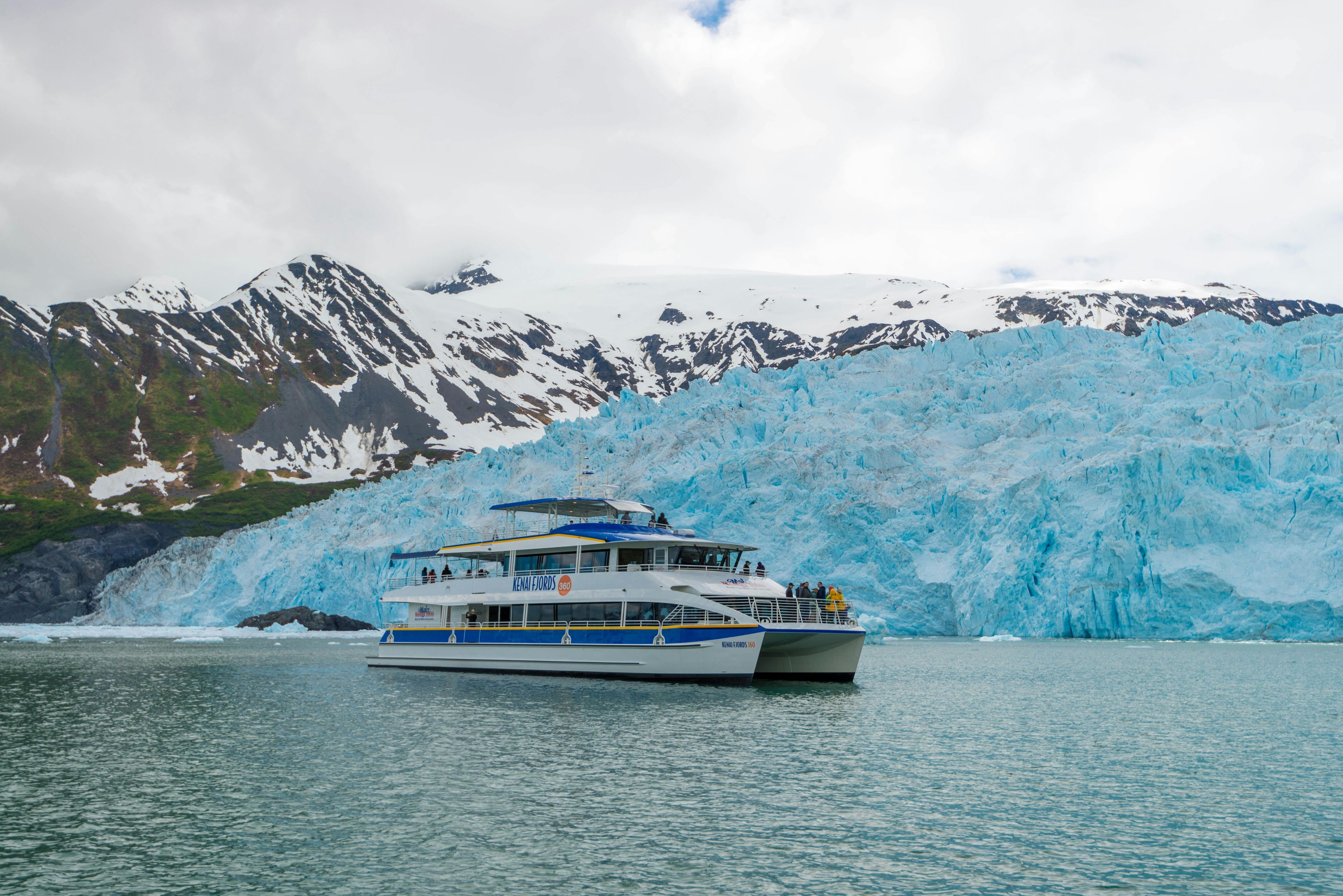 Imagen del tour: Crucero por el glaciar y la vida silvestre del Parque Nacional de los Fiordos de Kenai