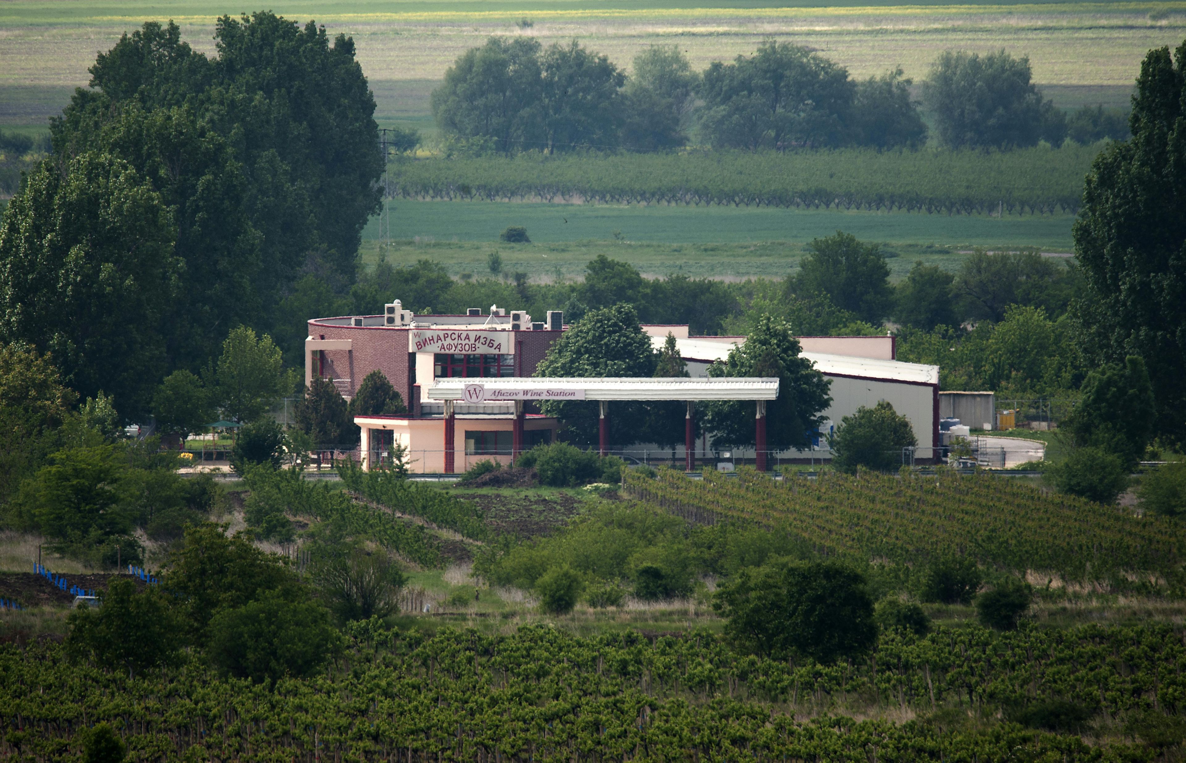 Imagen del tour: Cata de vinos privada en la bodega Afuzov para dos