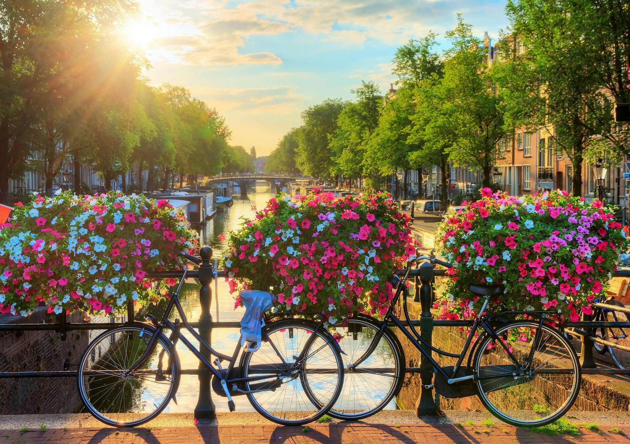 Imagen del tour: Tour en bicicleta por las gemas ocultas de Ámsterdam