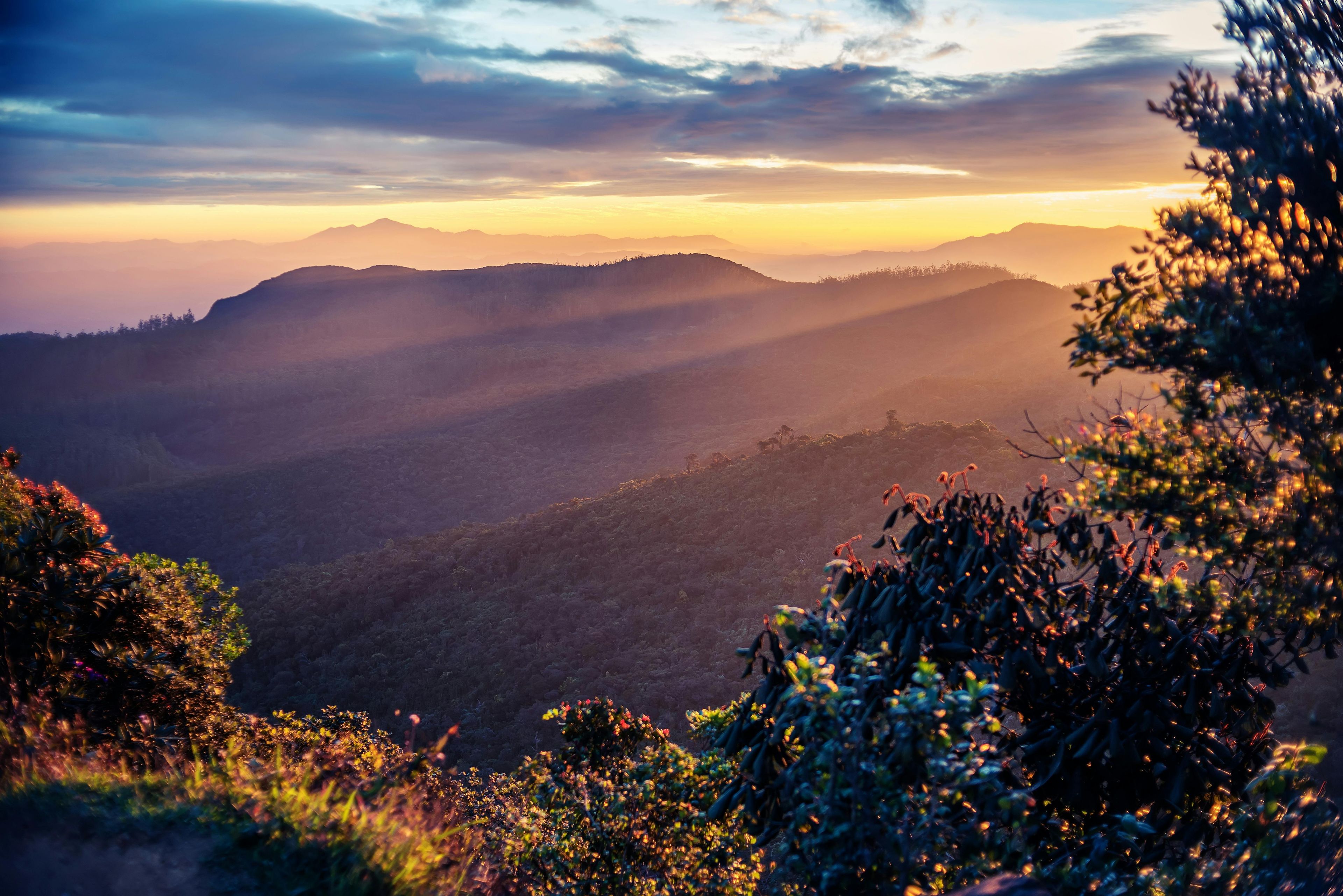 Imagen del tour: Tour al Parque Nacional Horton Plains desde Nuwara Eliya