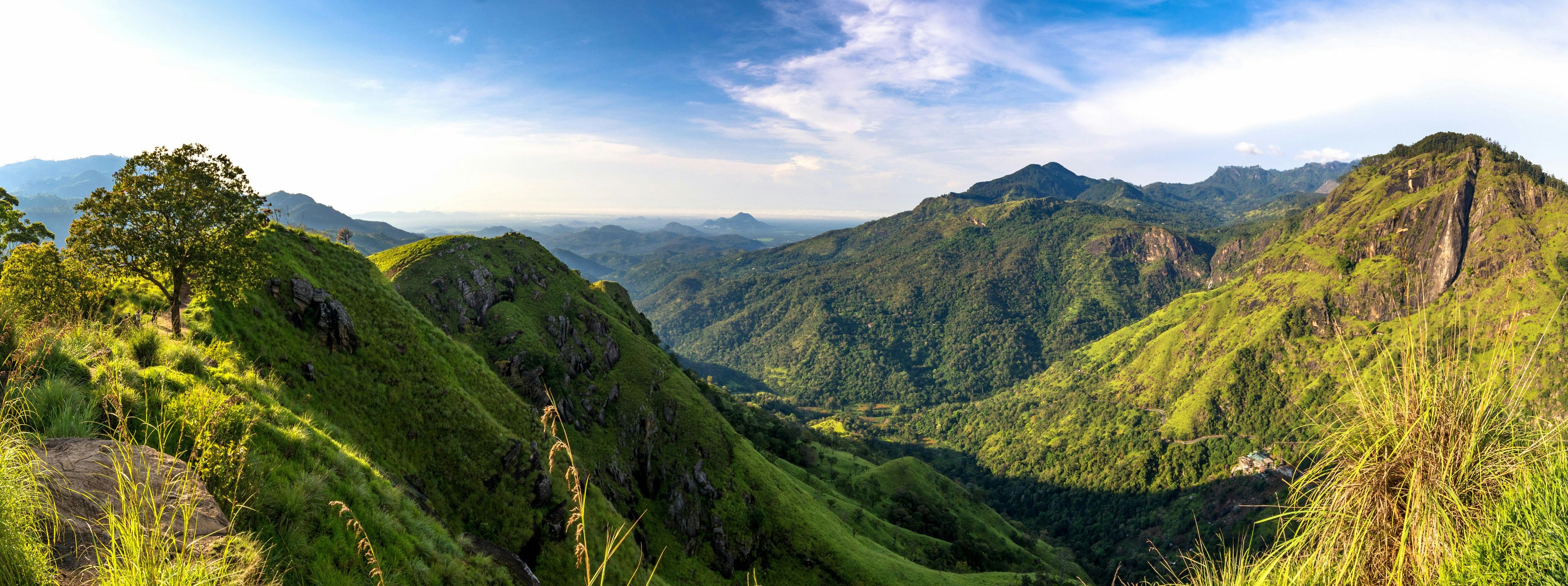 Imagen del tour: Excursión de un día a Little Adam's Peak desde Nuwara Eliya