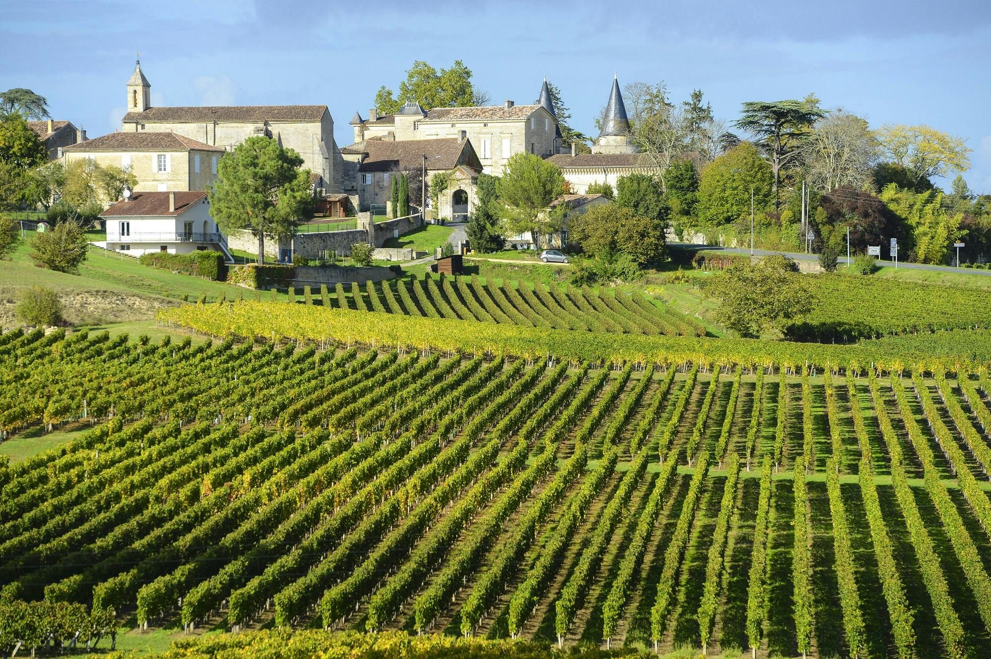 Imagen del tour: Tour del vino por la mañana a Saint-Emilion