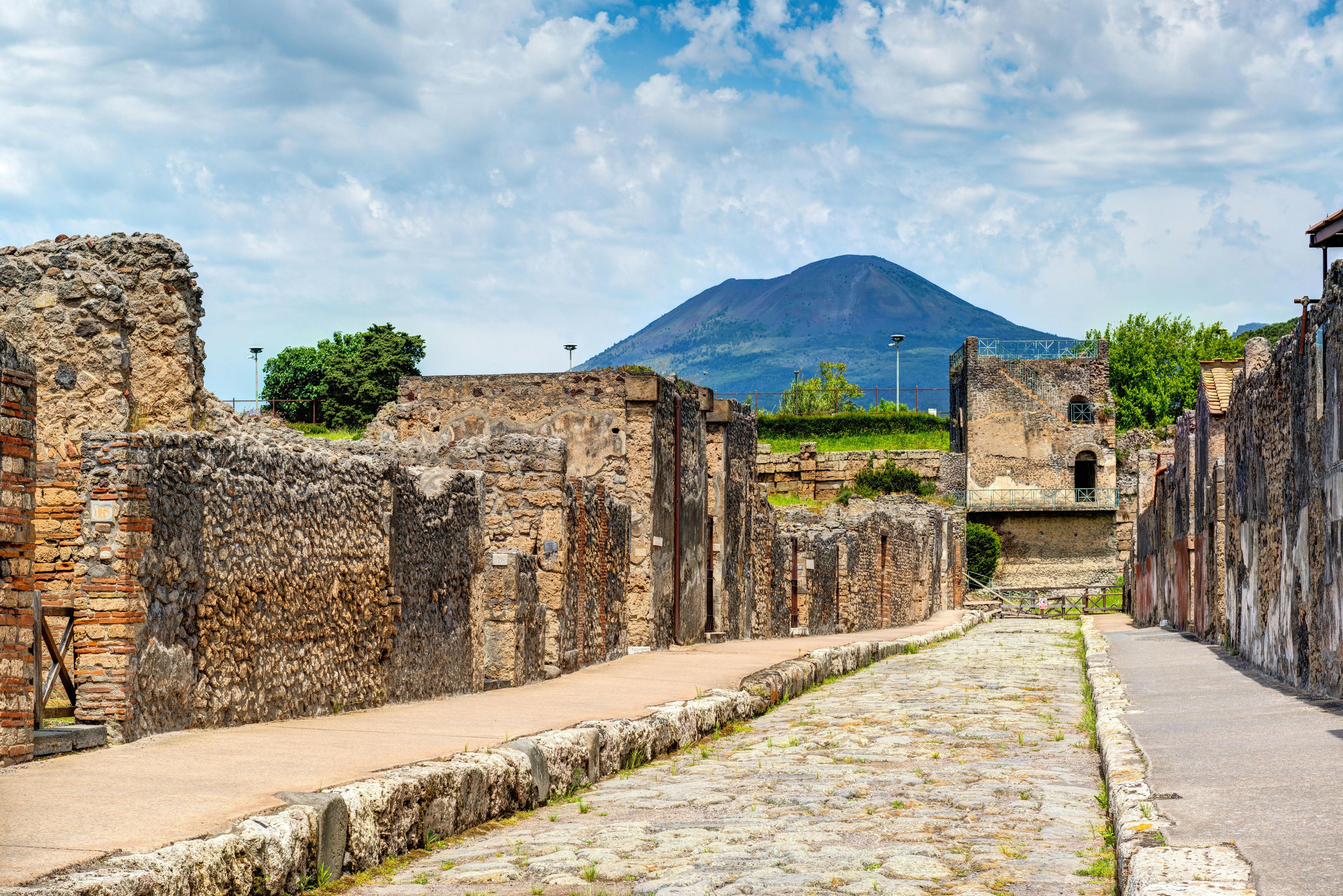 Imagen del tour: Visita a Pompeya y el Vesubio desde Nápoles con cata de vinos