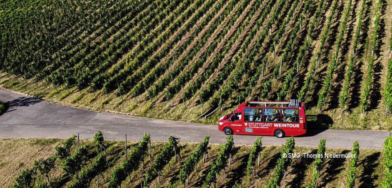 Imagen del tour: Recorrido vinícola en bus turístico de Stuttgart las 24 horas