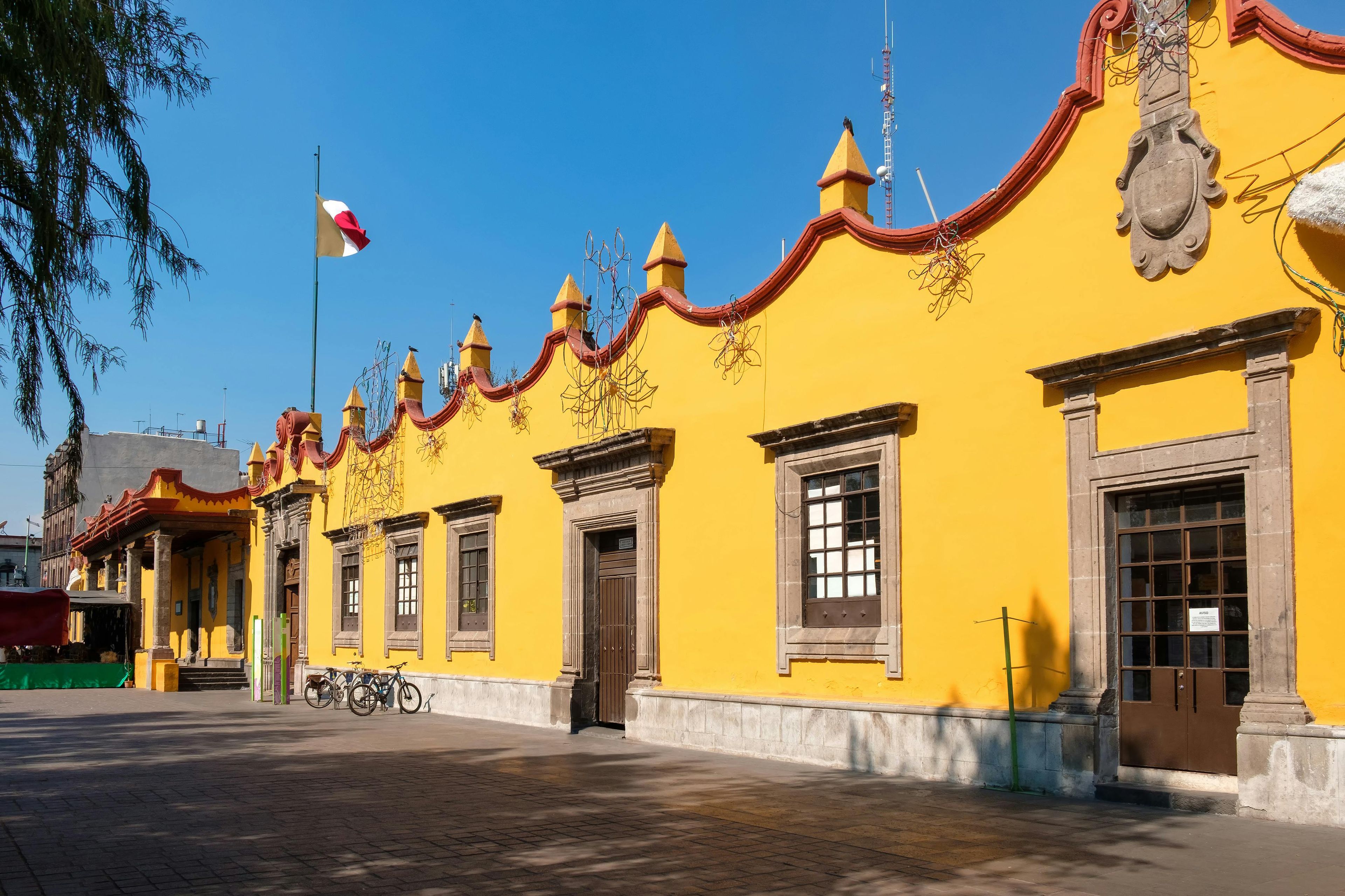 Imagen del tour: Visita guiada a Xochimilco y Coyoacán