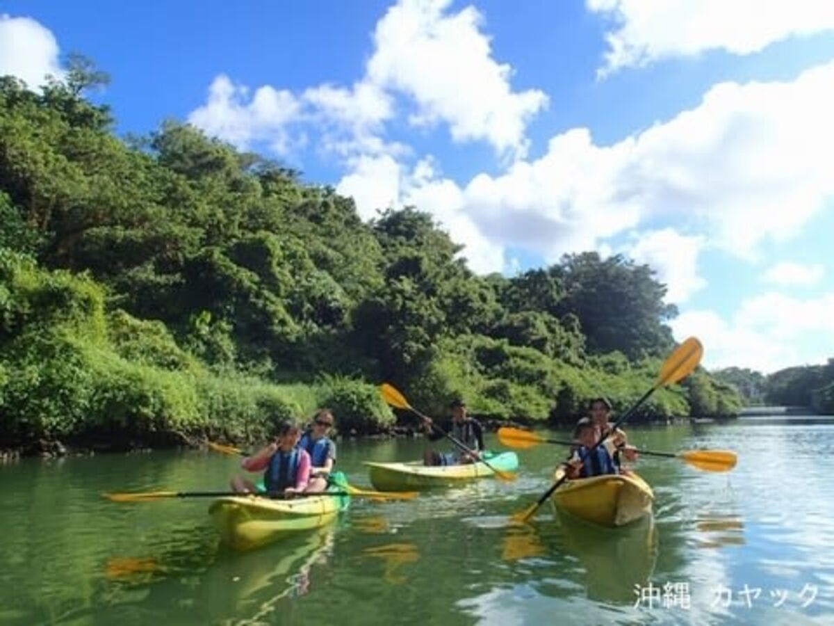 Imagen del tour: Kayak en los manglares del río Hija en Okinawa