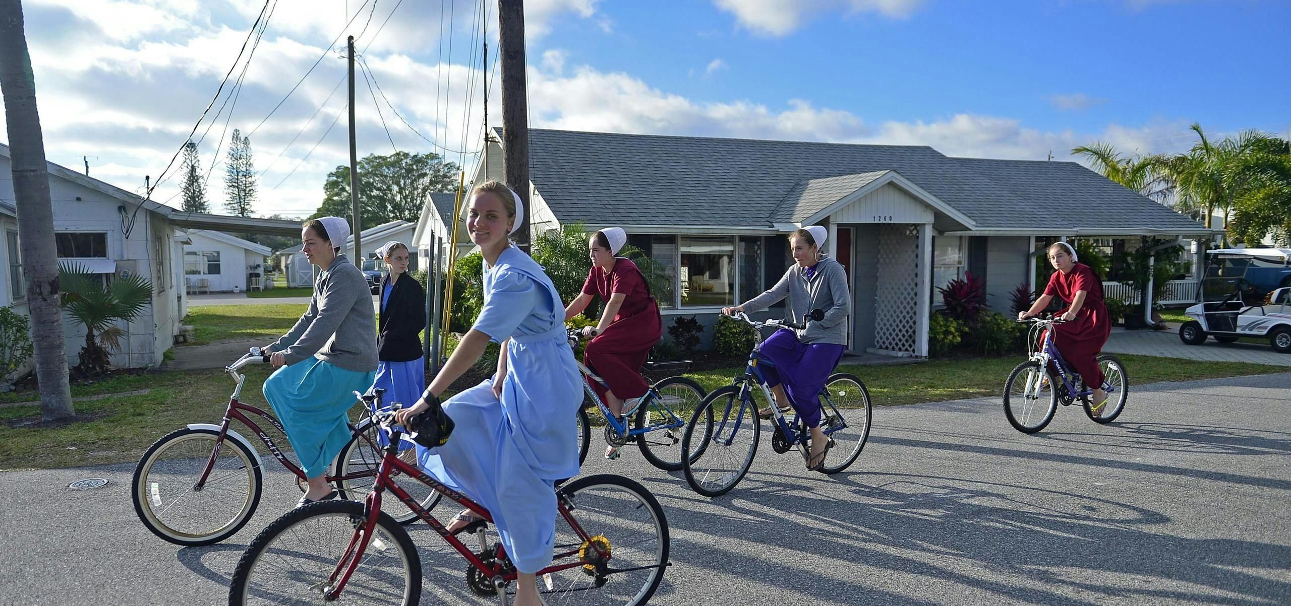 Imagen del tour: Tour de la experiencia Amish de Sarasota