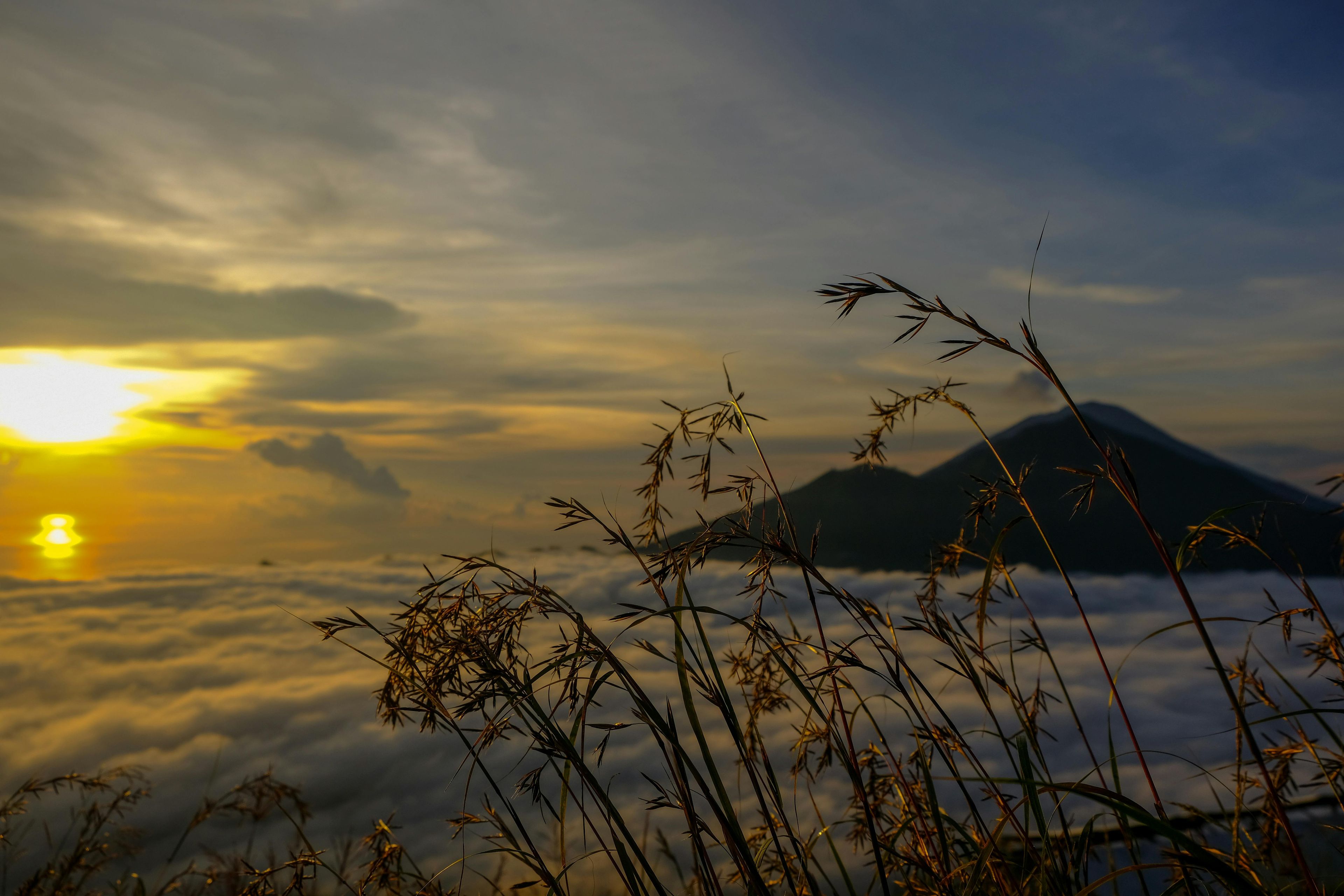Imagen del tour: Caminata al amanecer en el monte Batur y aguas termales naturales